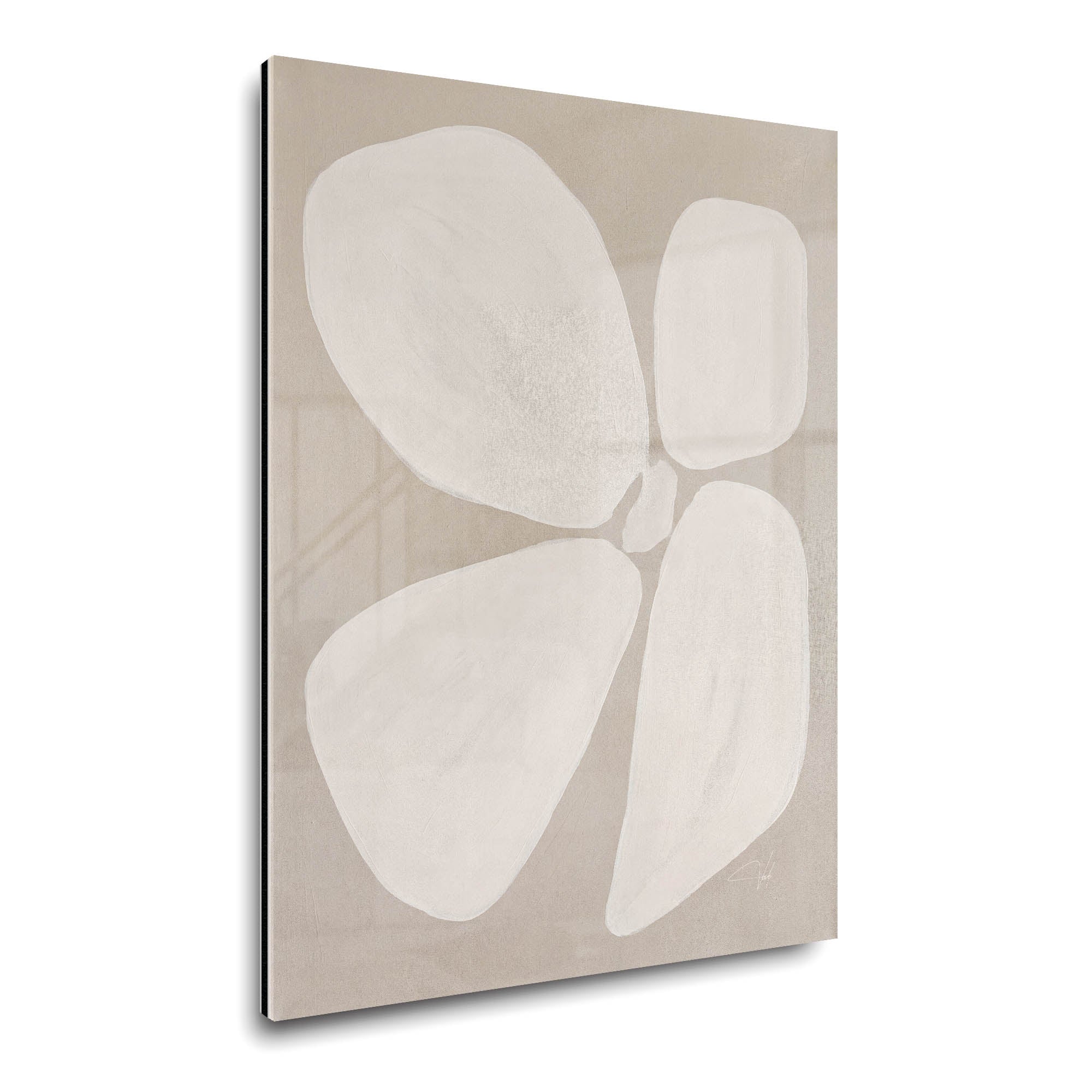 Linen Anemone