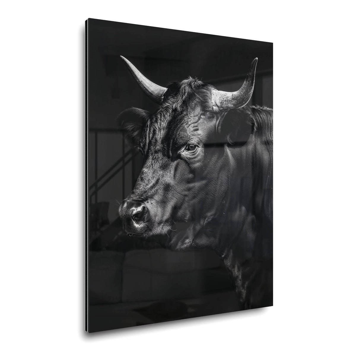 Toro