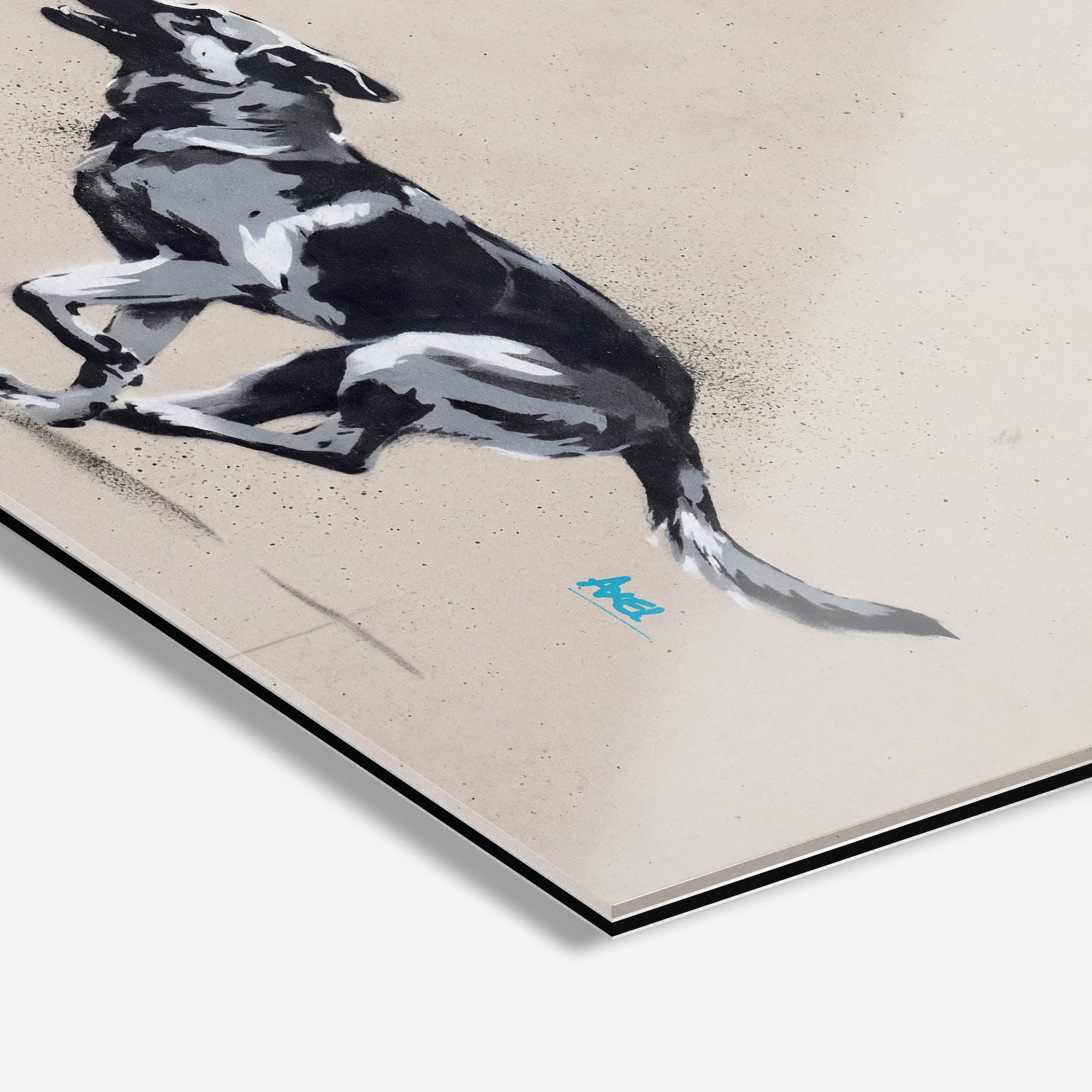 Blue Tick