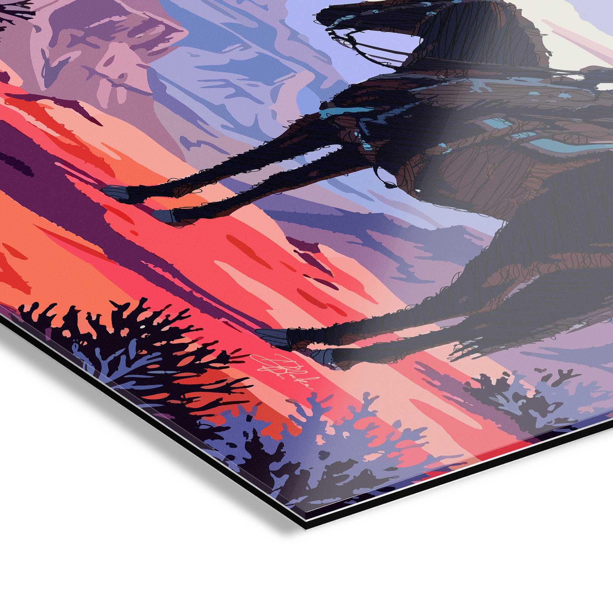 Canyon Watch
