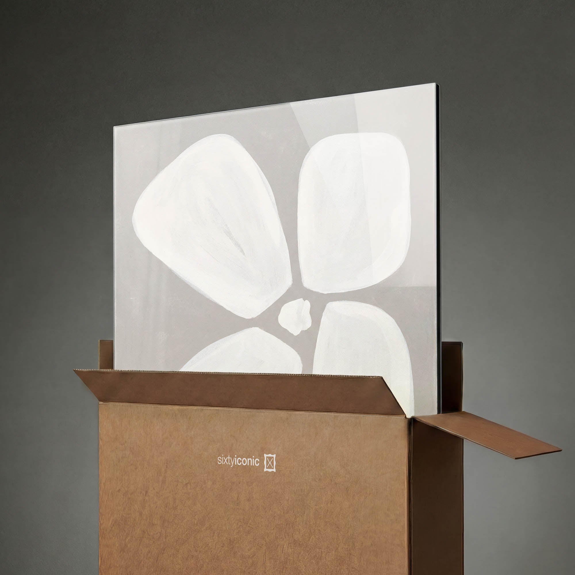 Dove Anemone