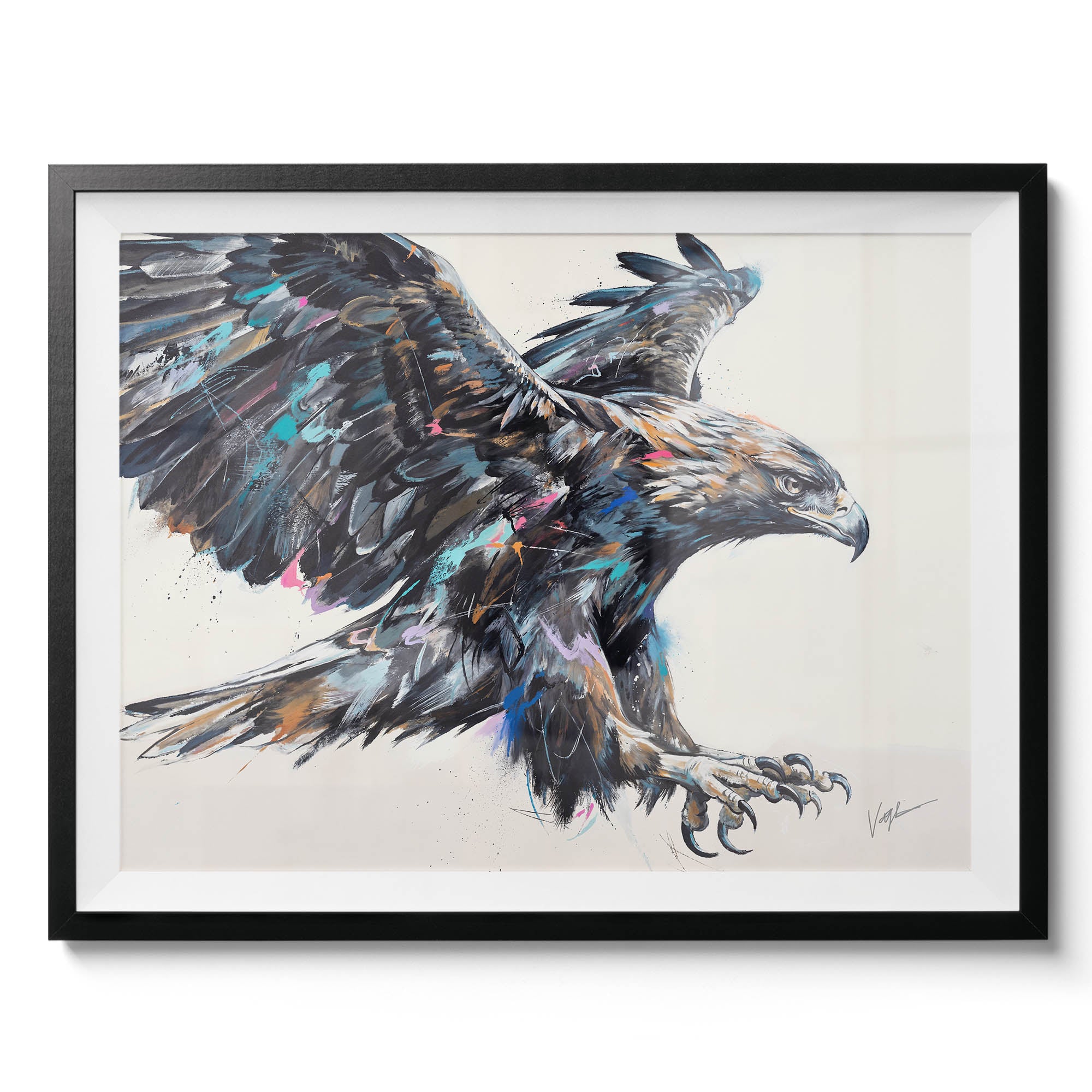 Born To Soar
