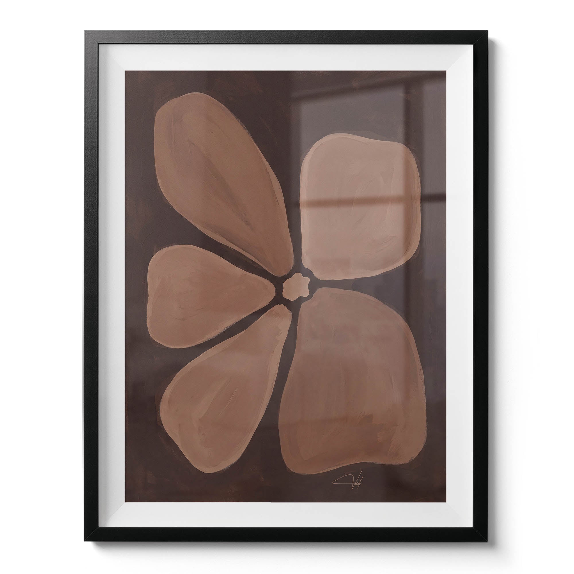 Cocoa Anemone