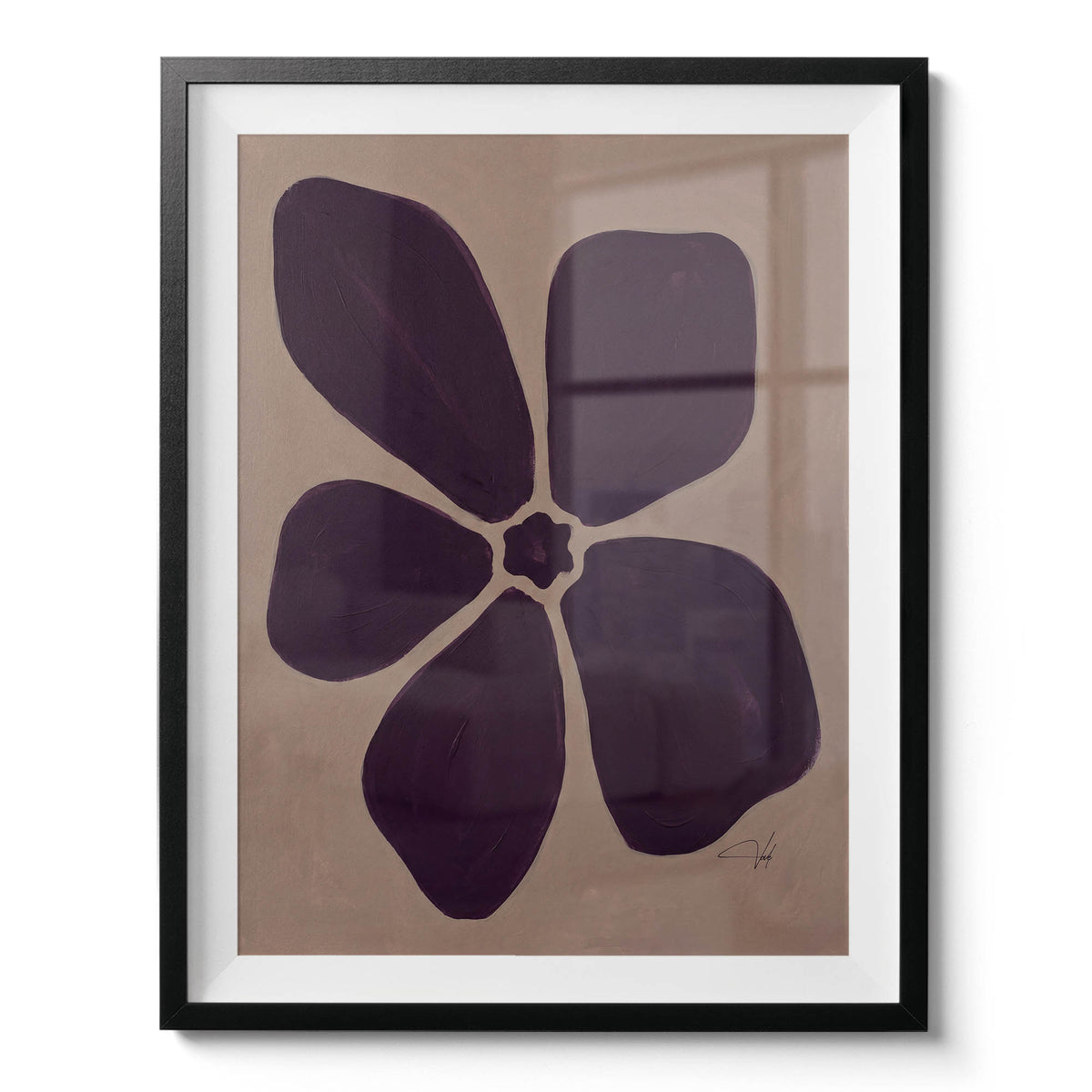 Plum Anemone