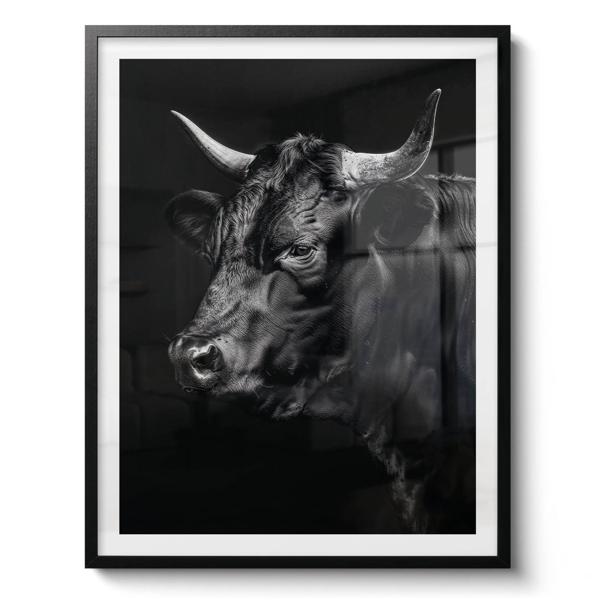 Toro