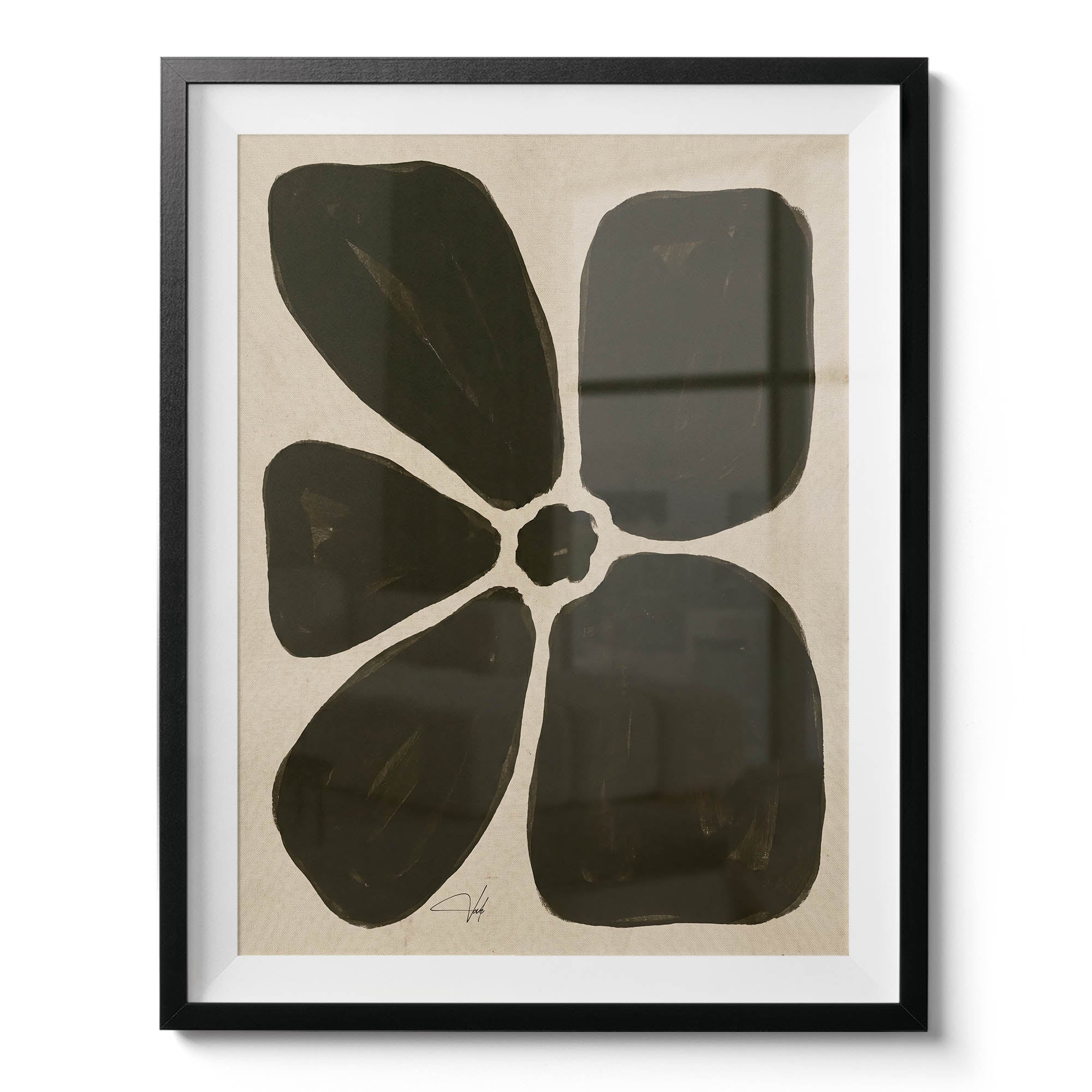Olive Anemone