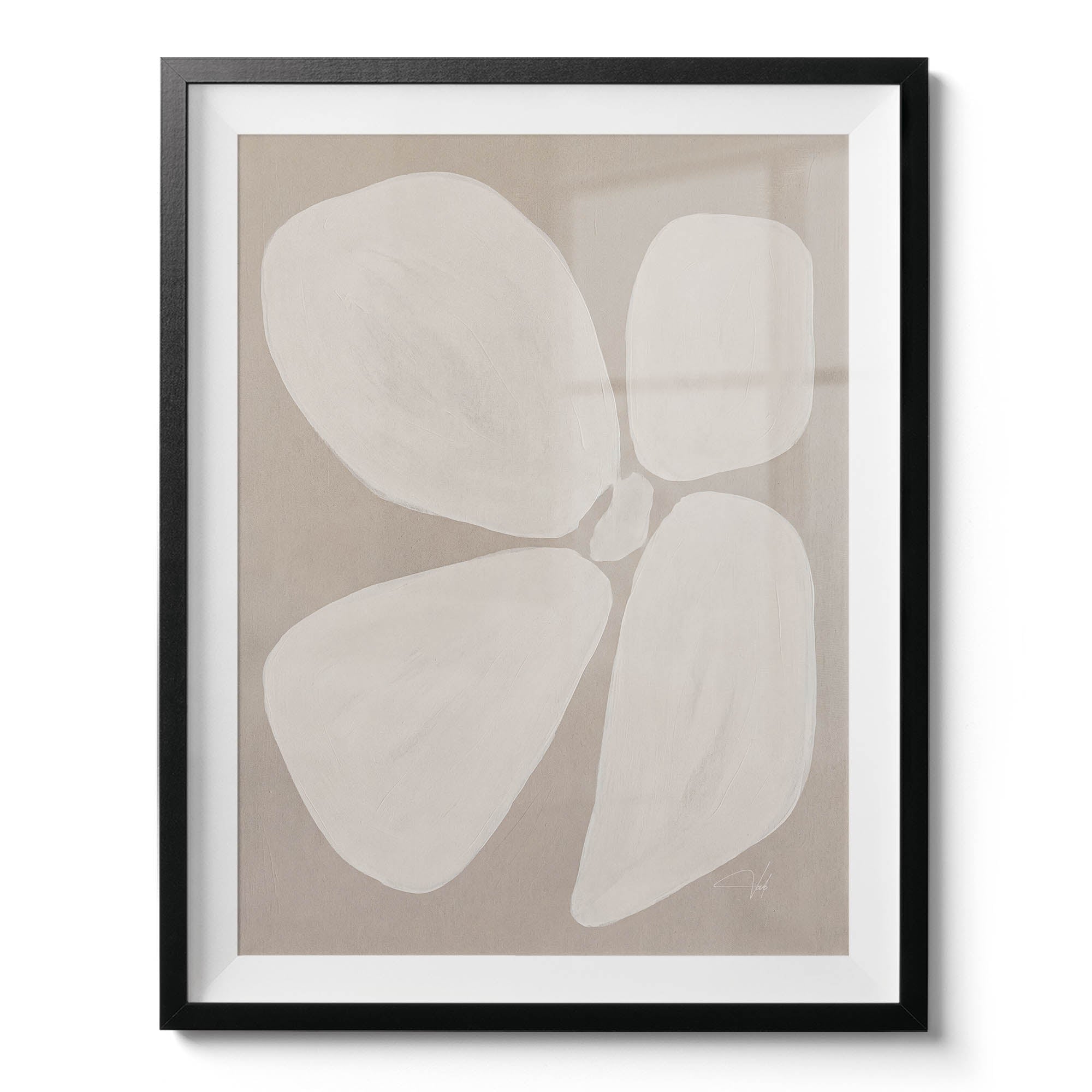 Linen Anemone