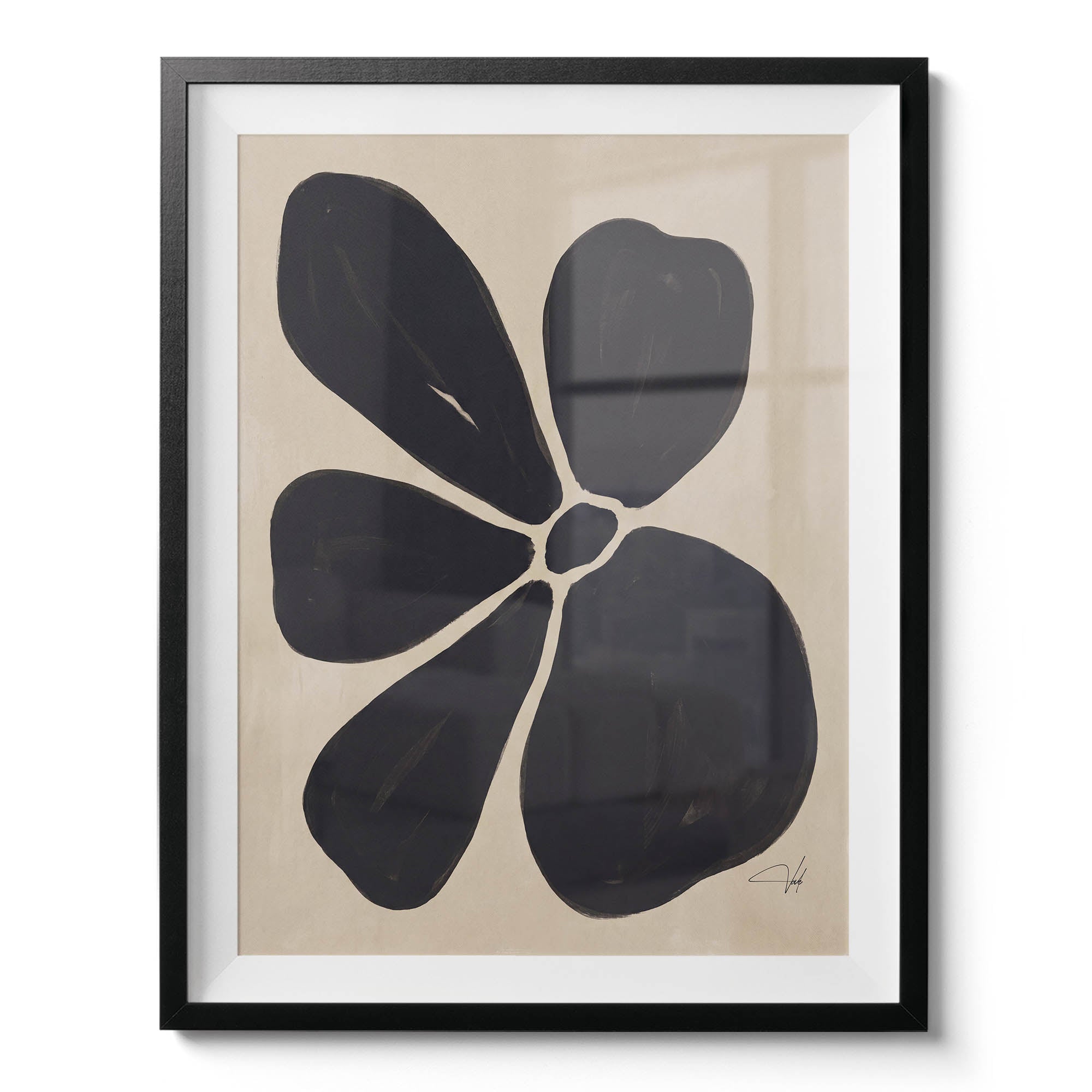 Charcoal Anemone