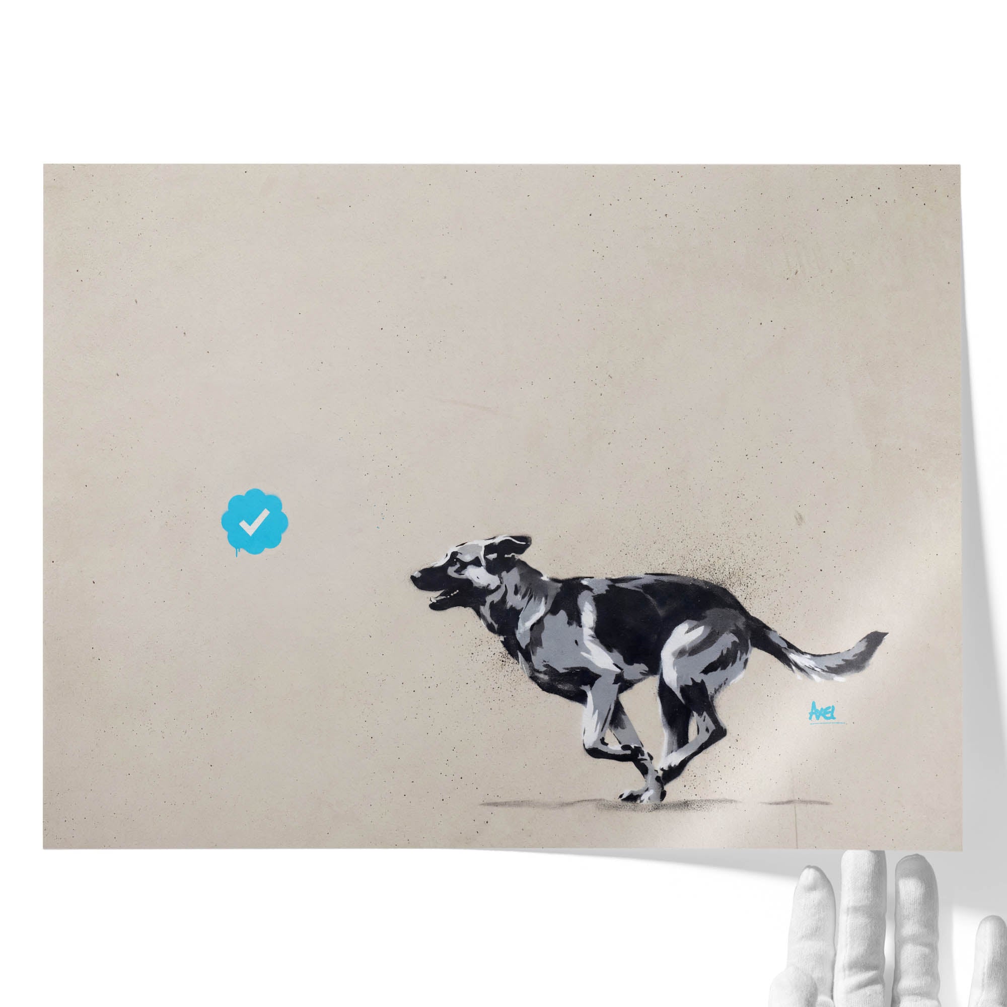 Blue Tick