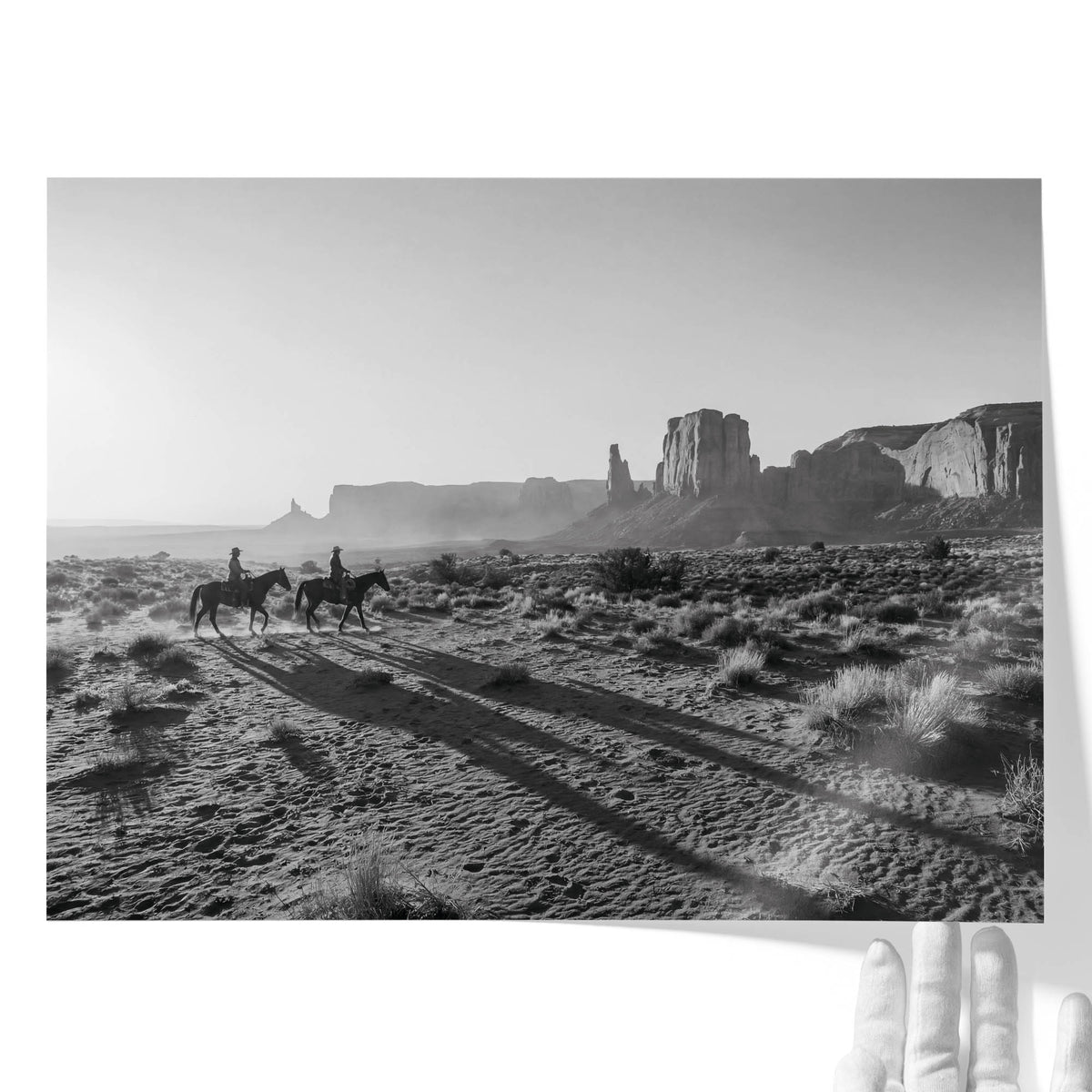 Long Shadows