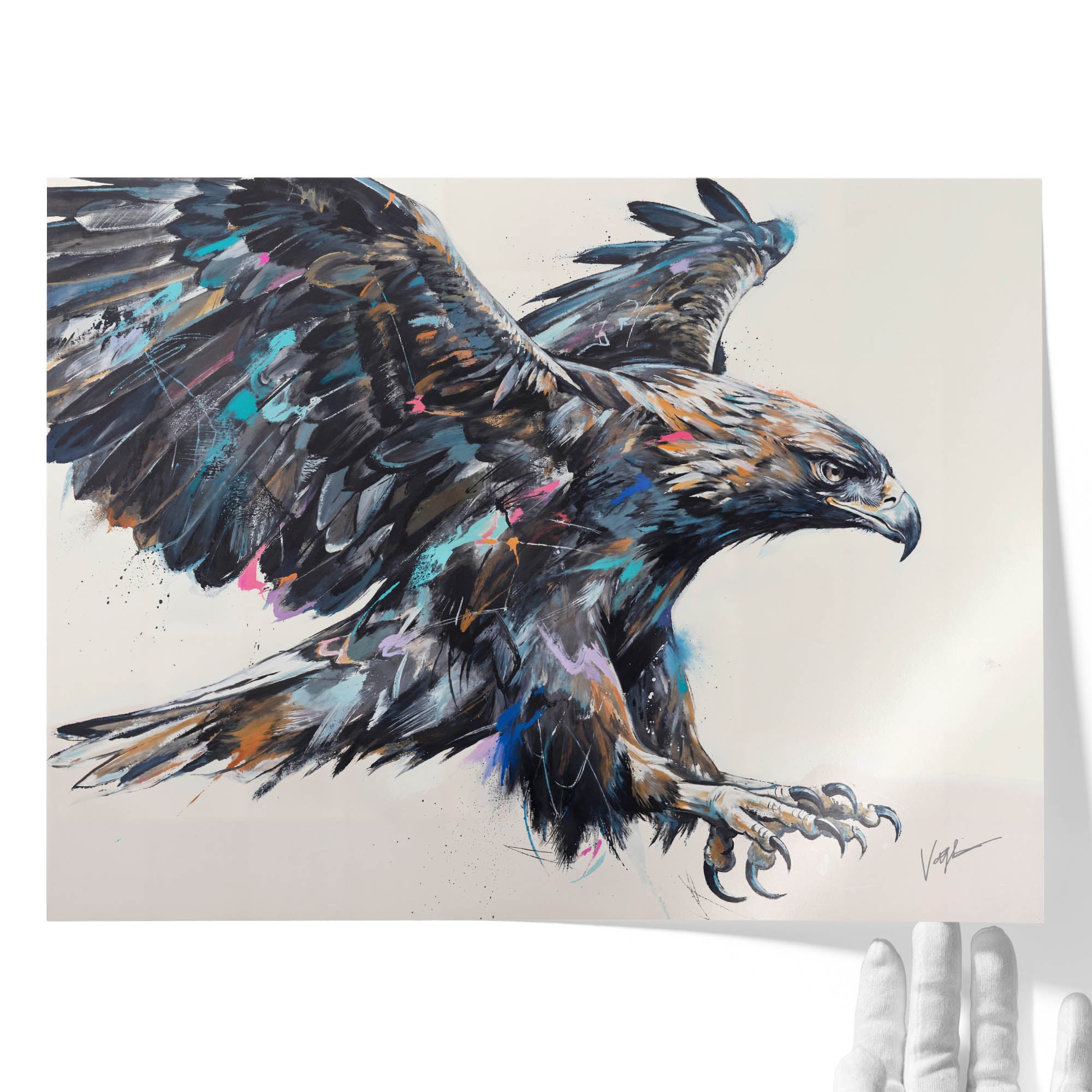 Born To Soar