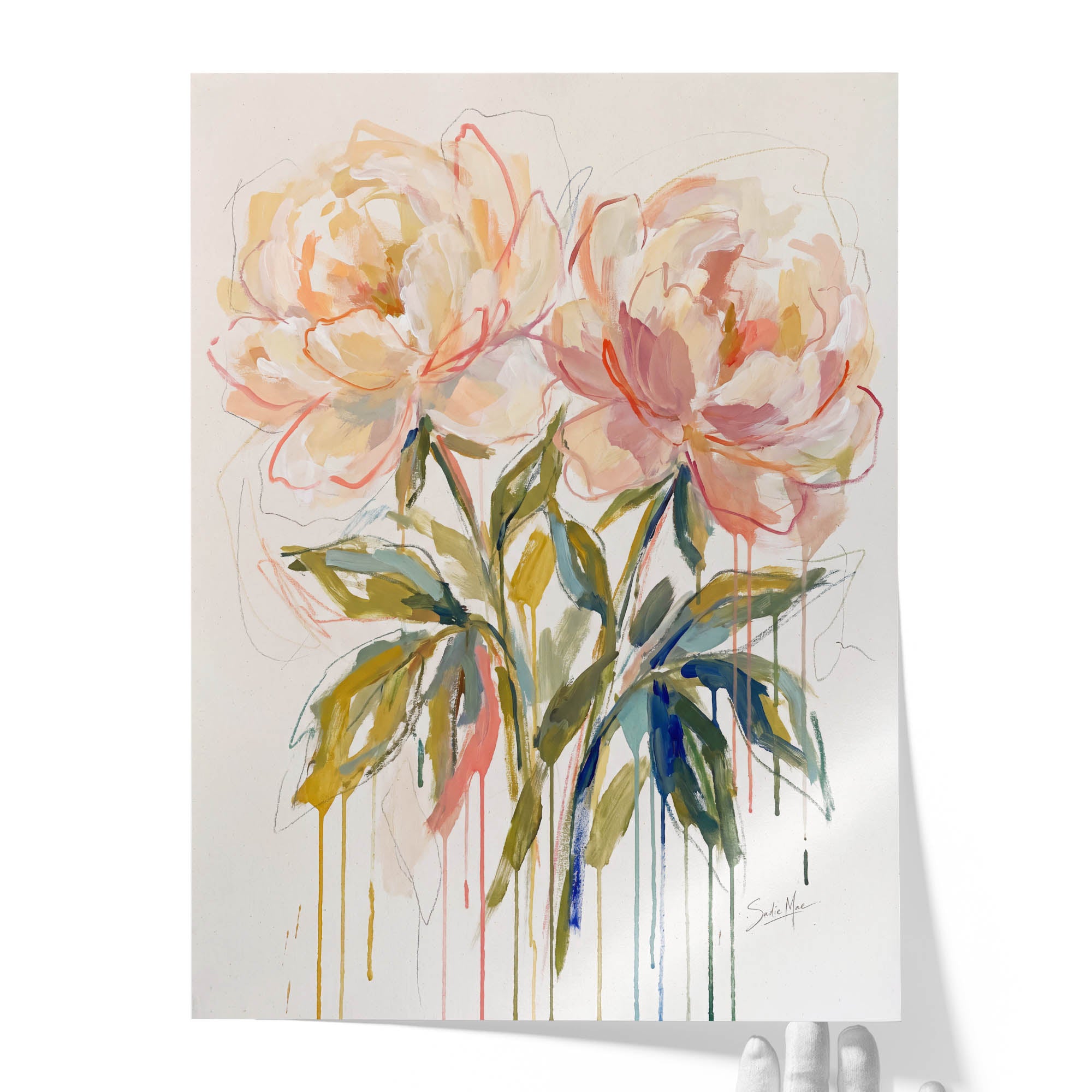 Coral Peonies