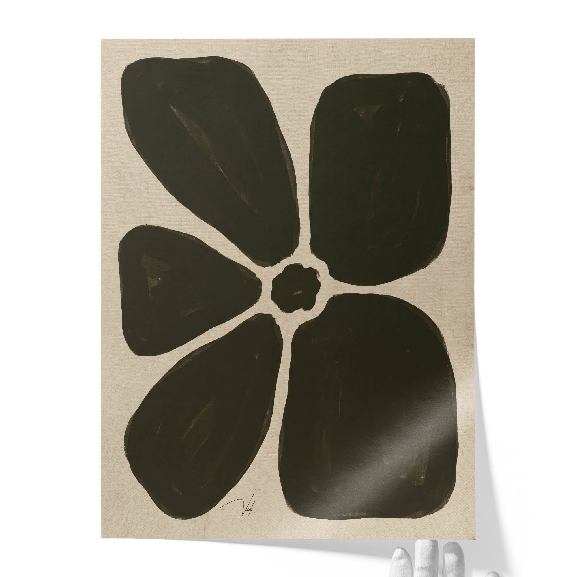 Olive Anemone