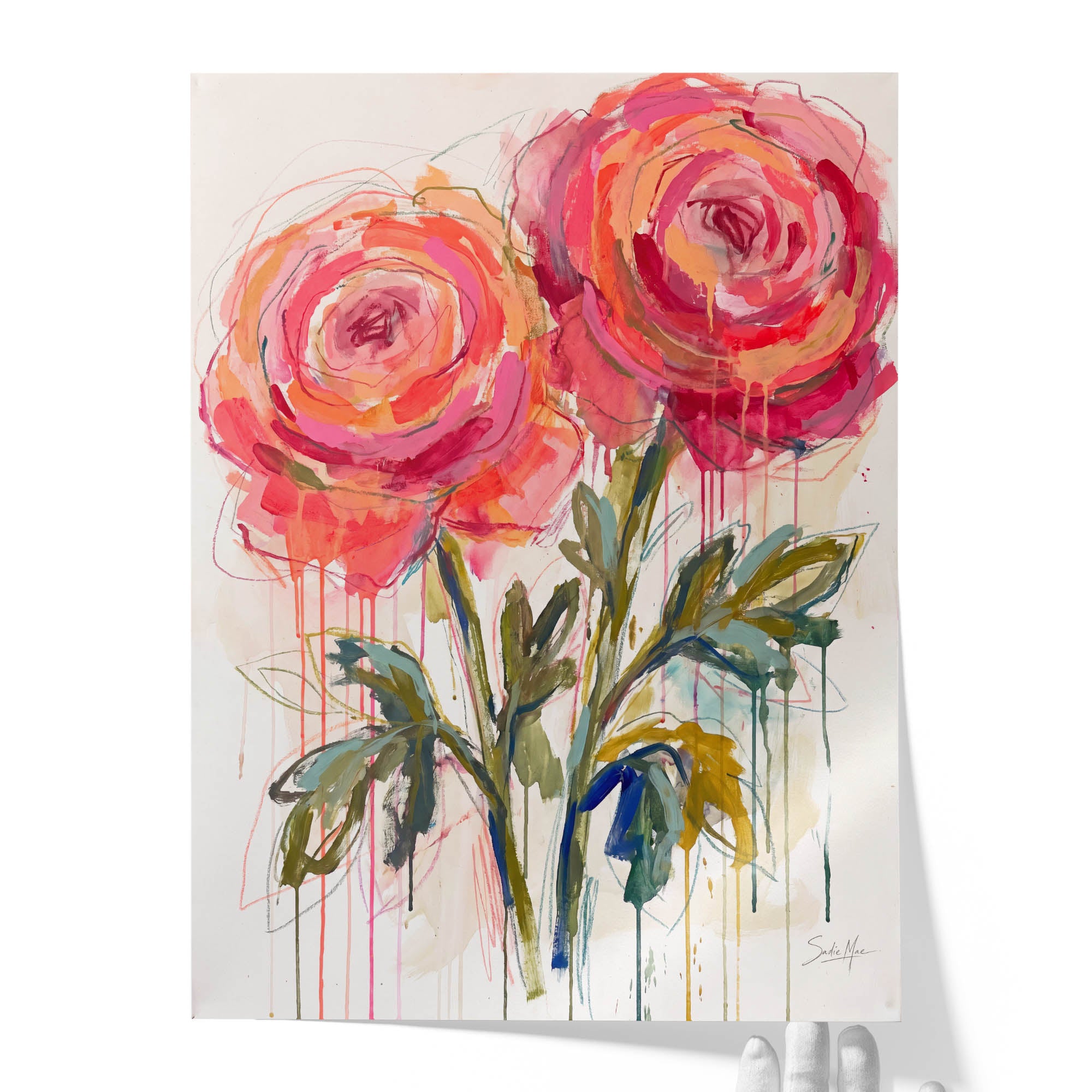 Coral Roses