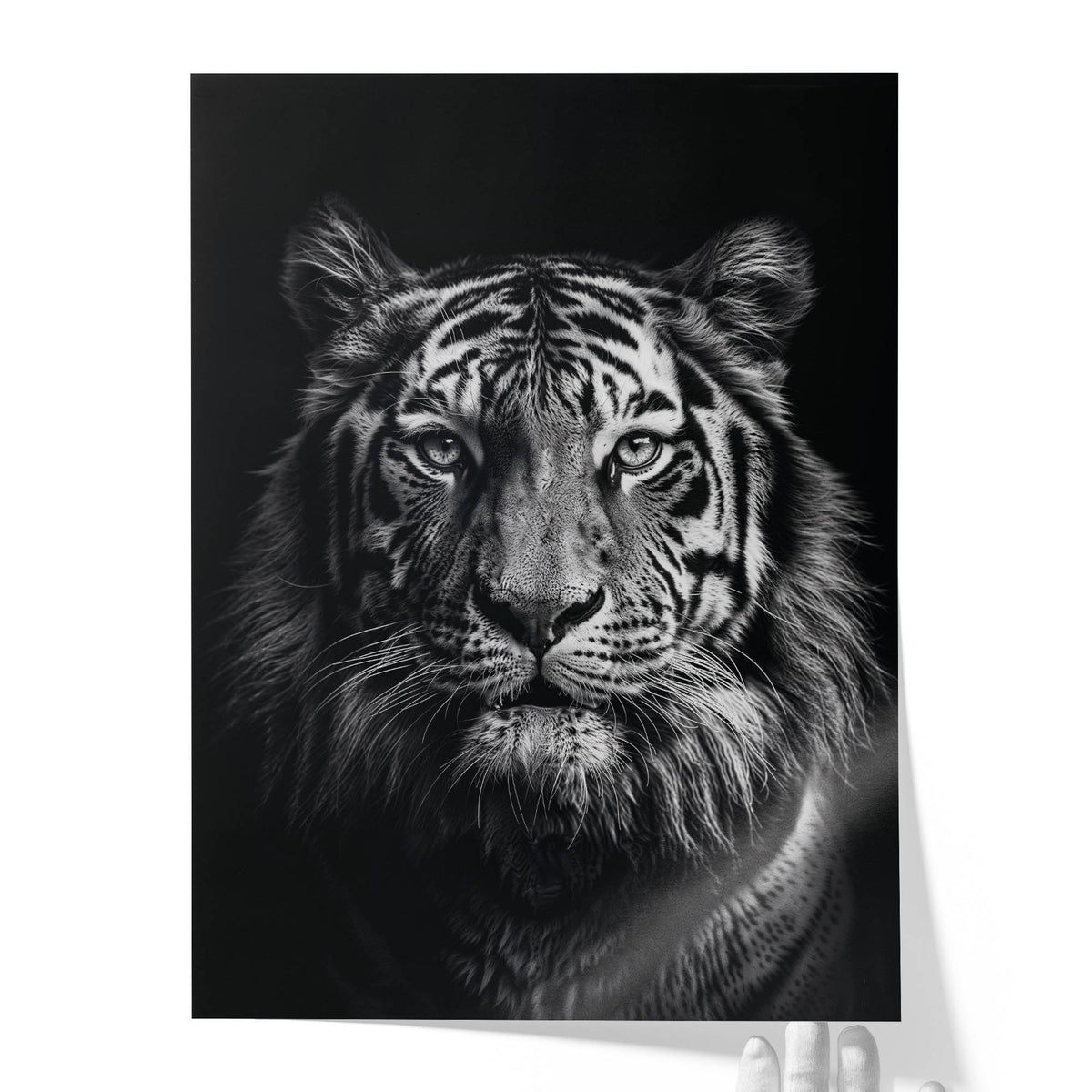 Rajah