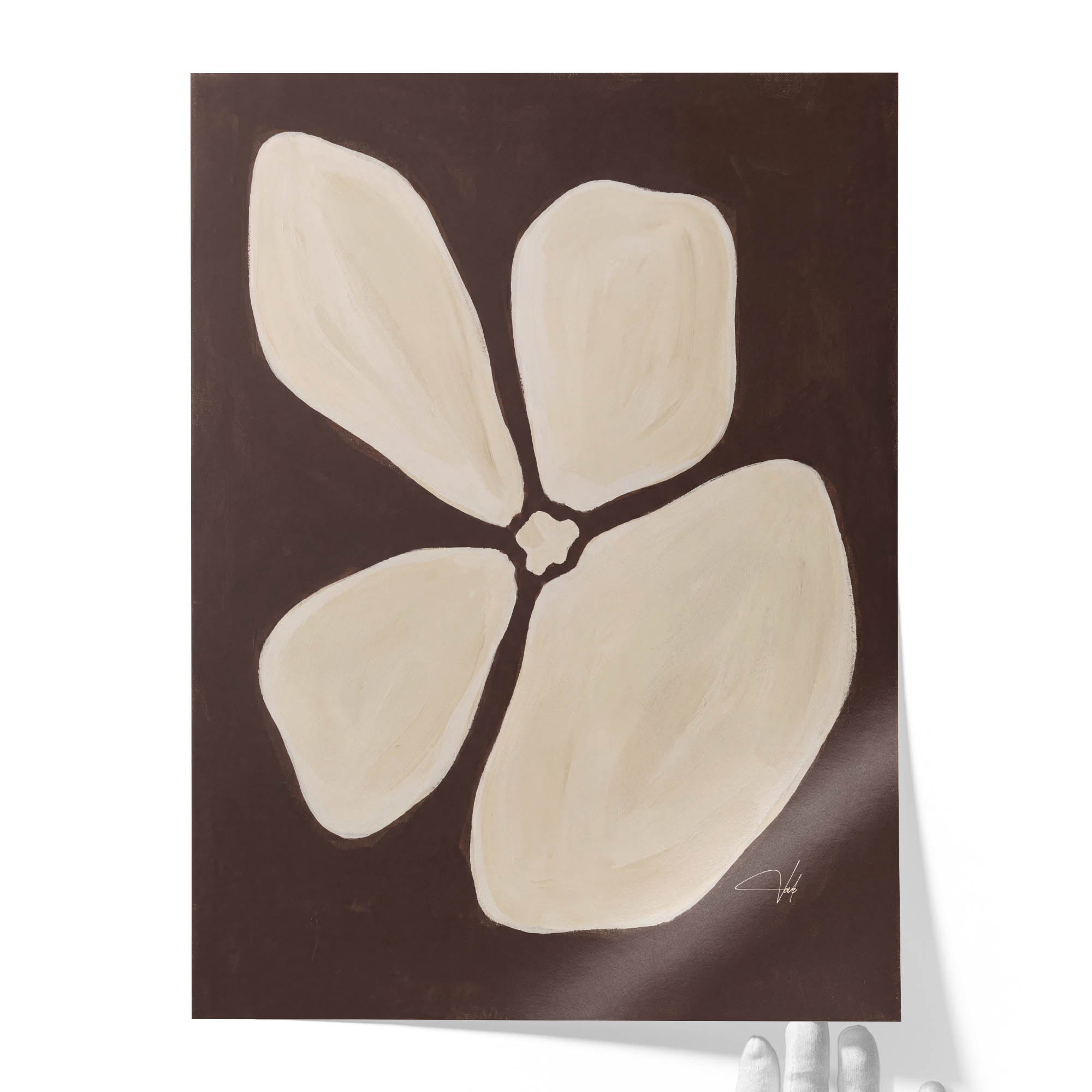 Ivory Anemone