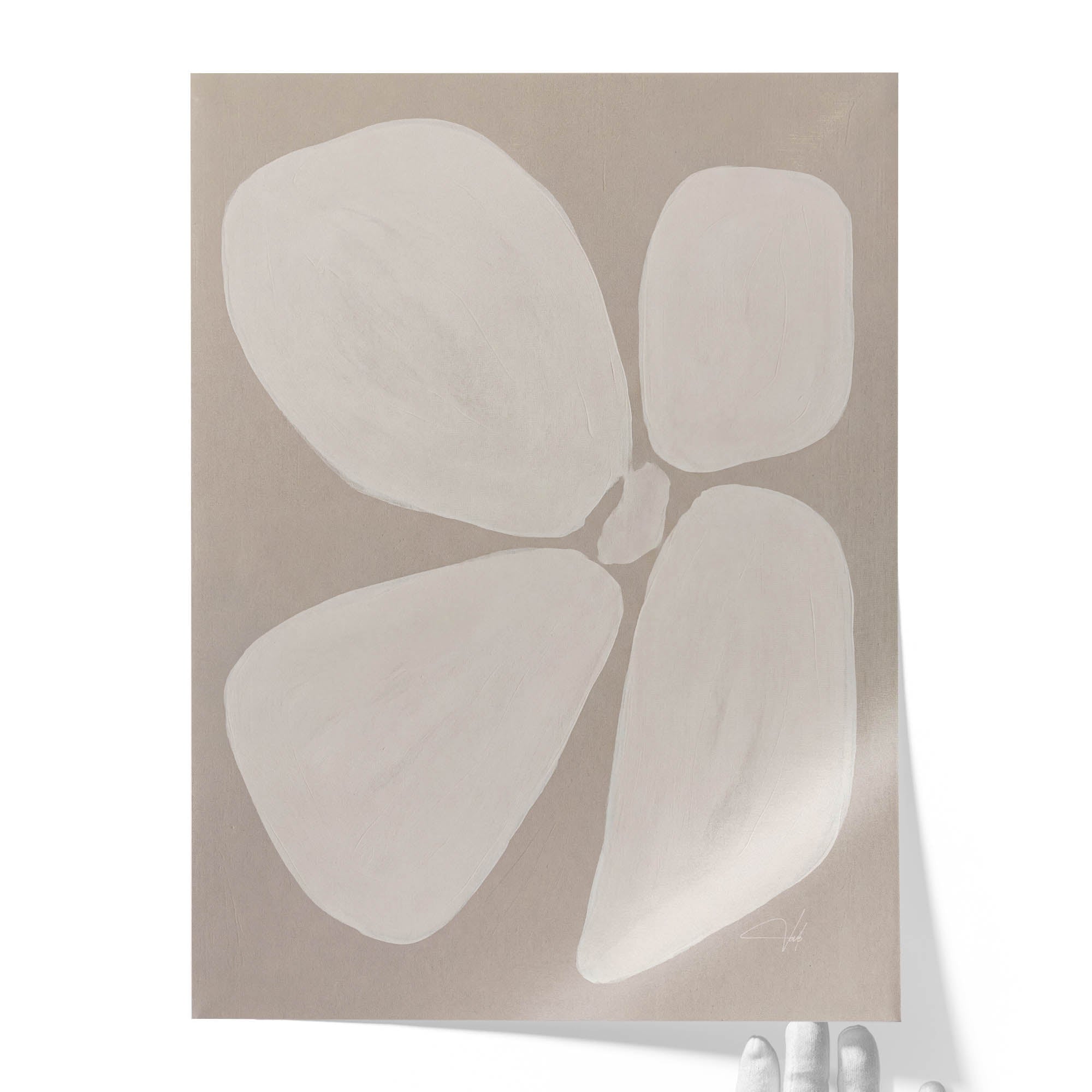 Linen Anemone
