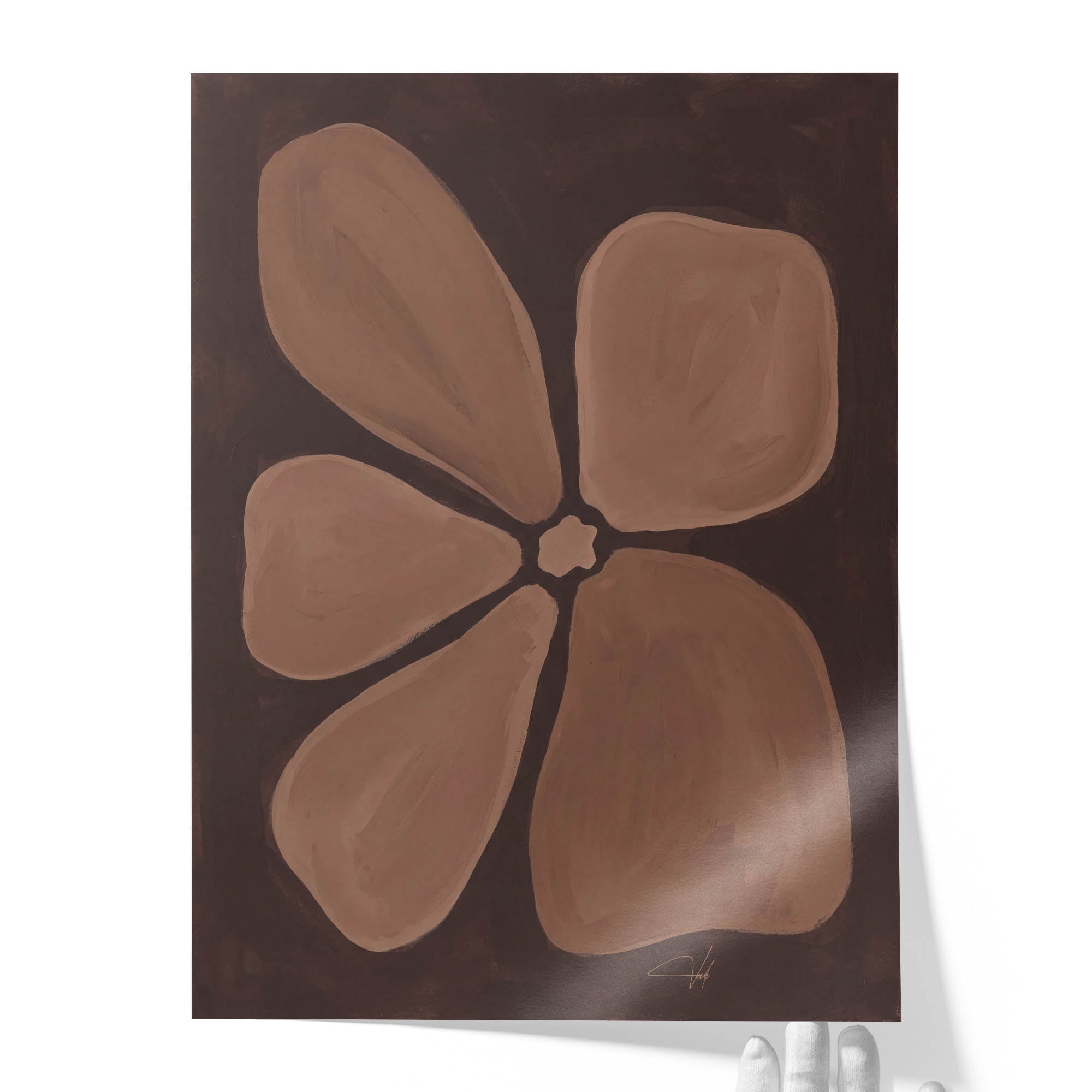 Cocoa Anemone