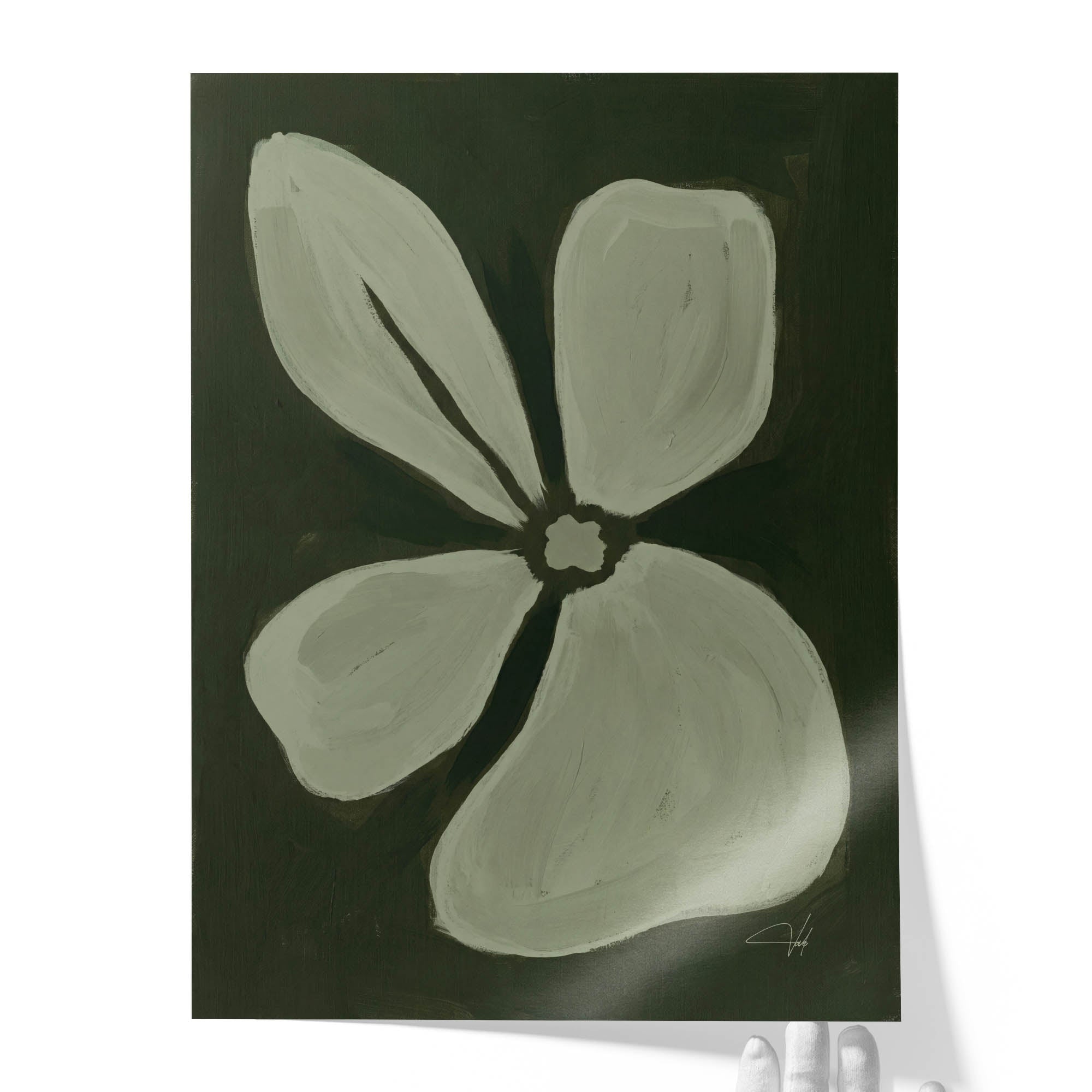 Sage Anemone