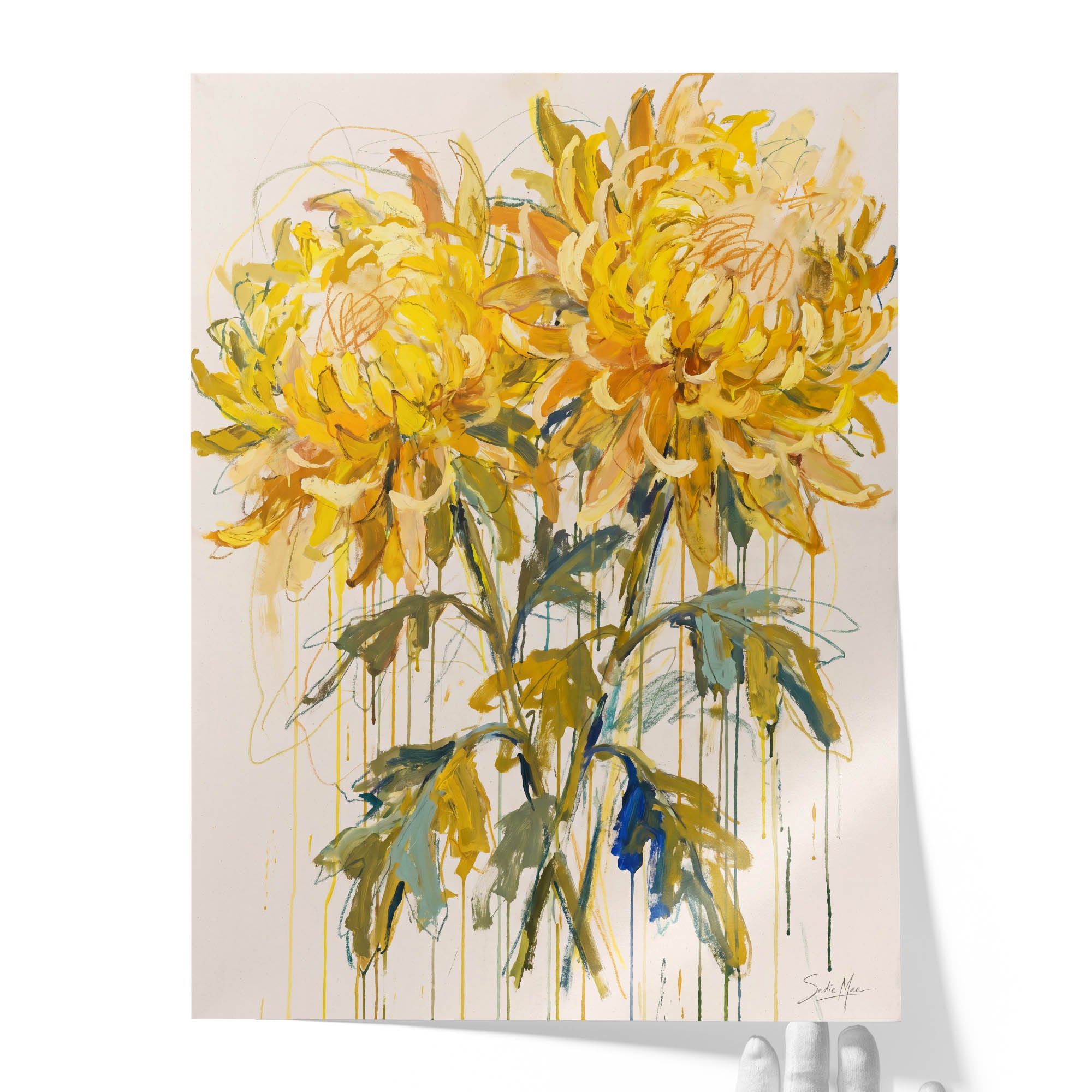 Sunlit Chrysanthemums