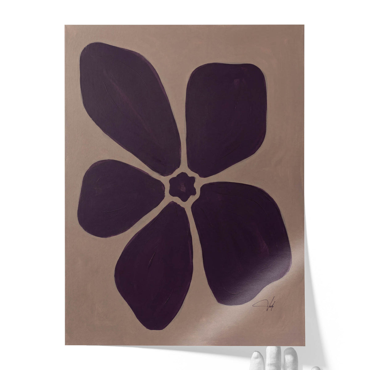 Plum Anemone