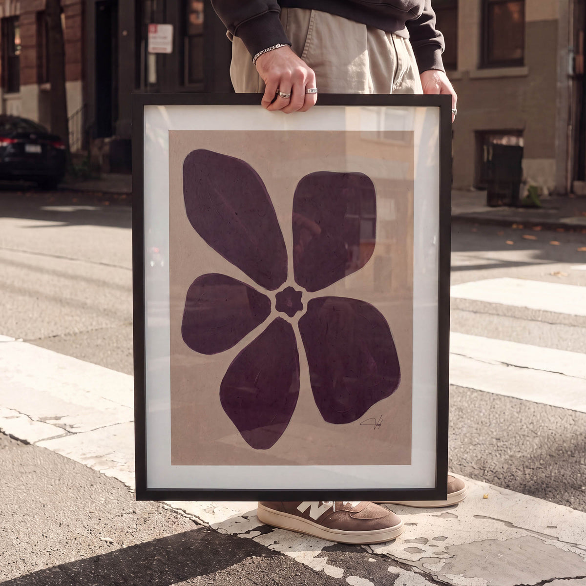 Plum Anemone