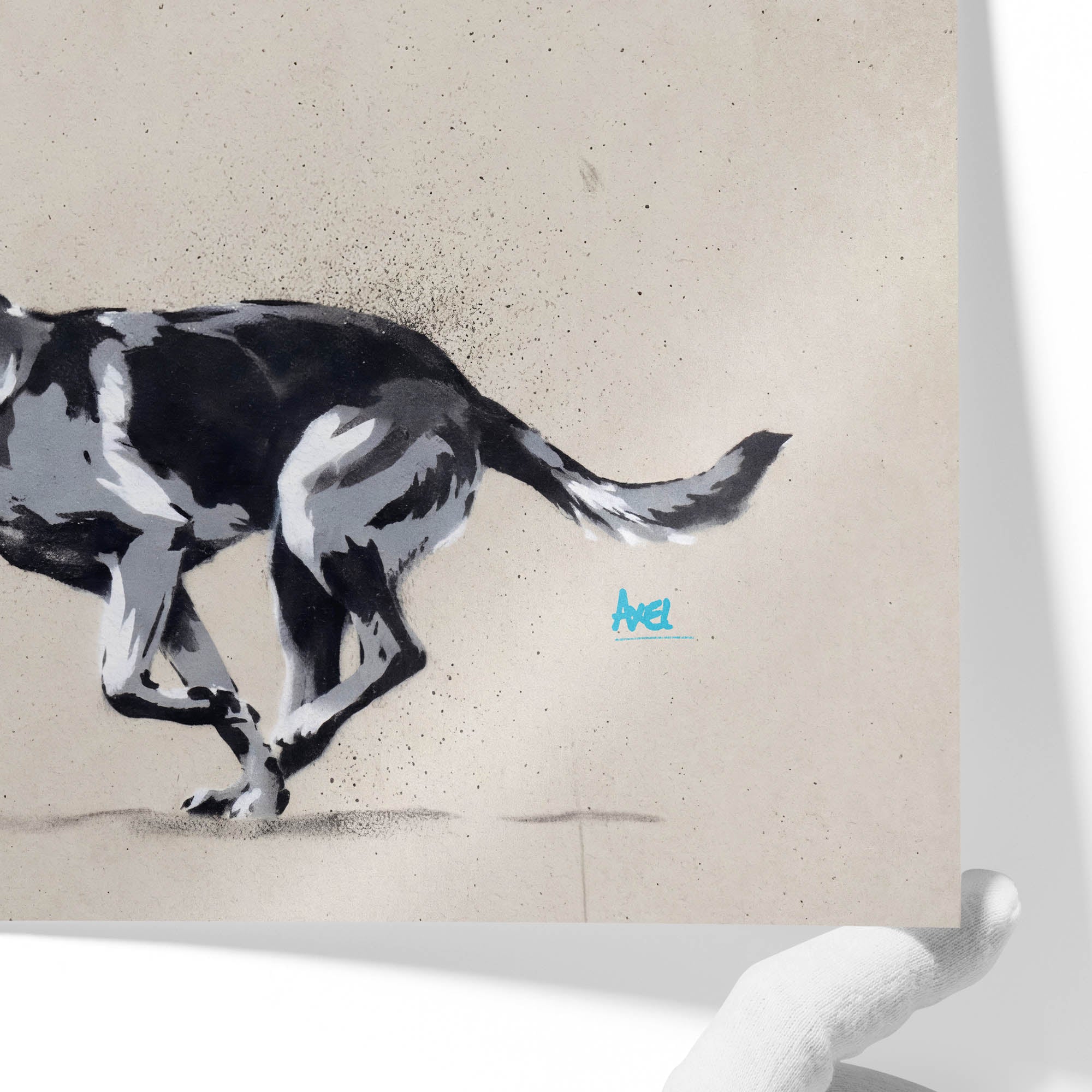 Blue Tick