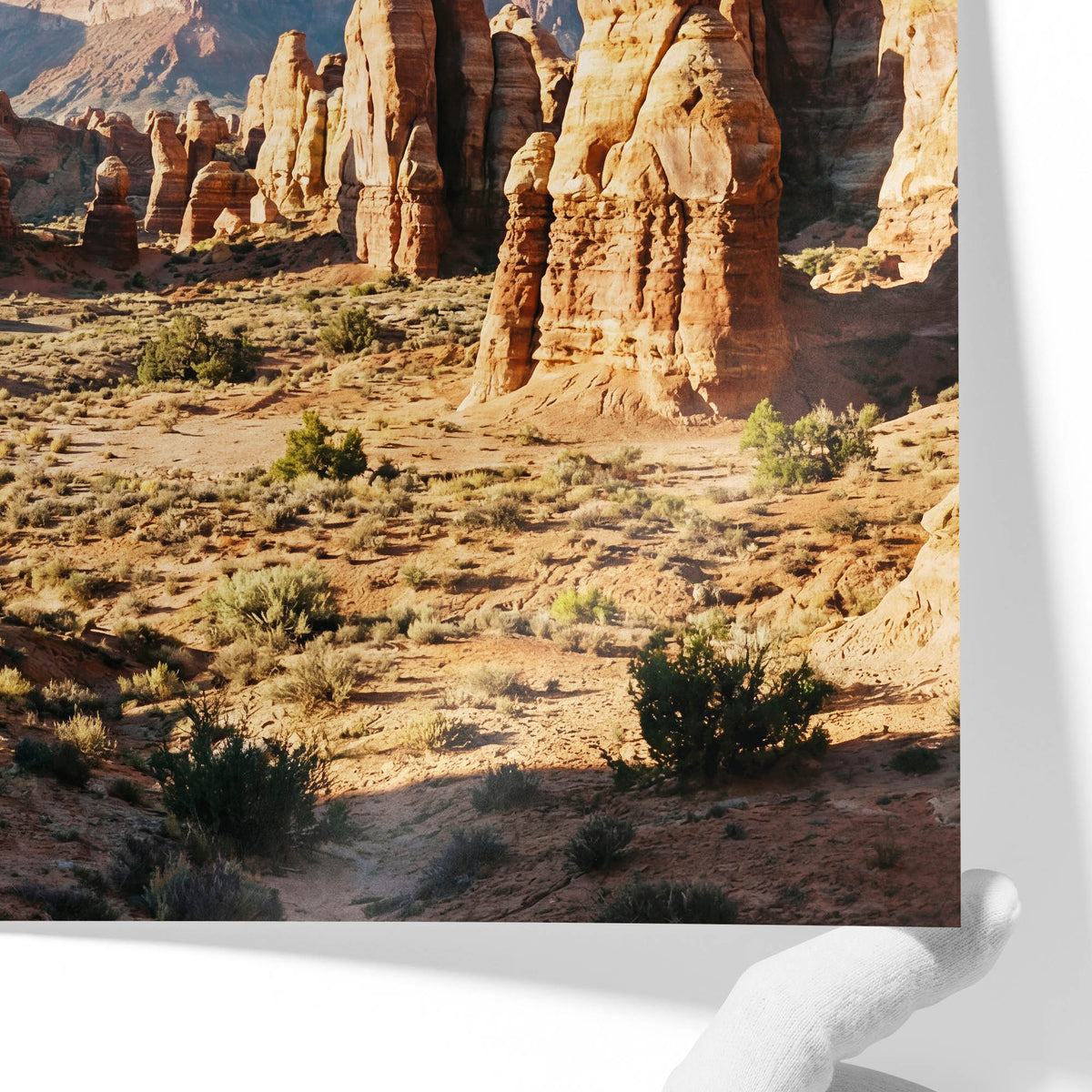 Badlands