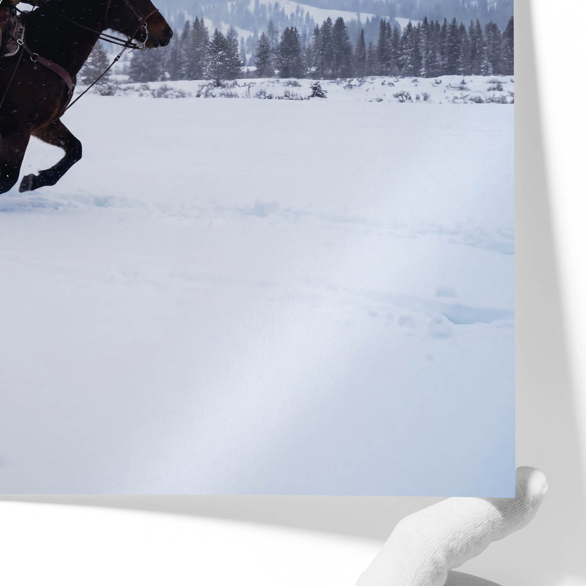 Whiteout