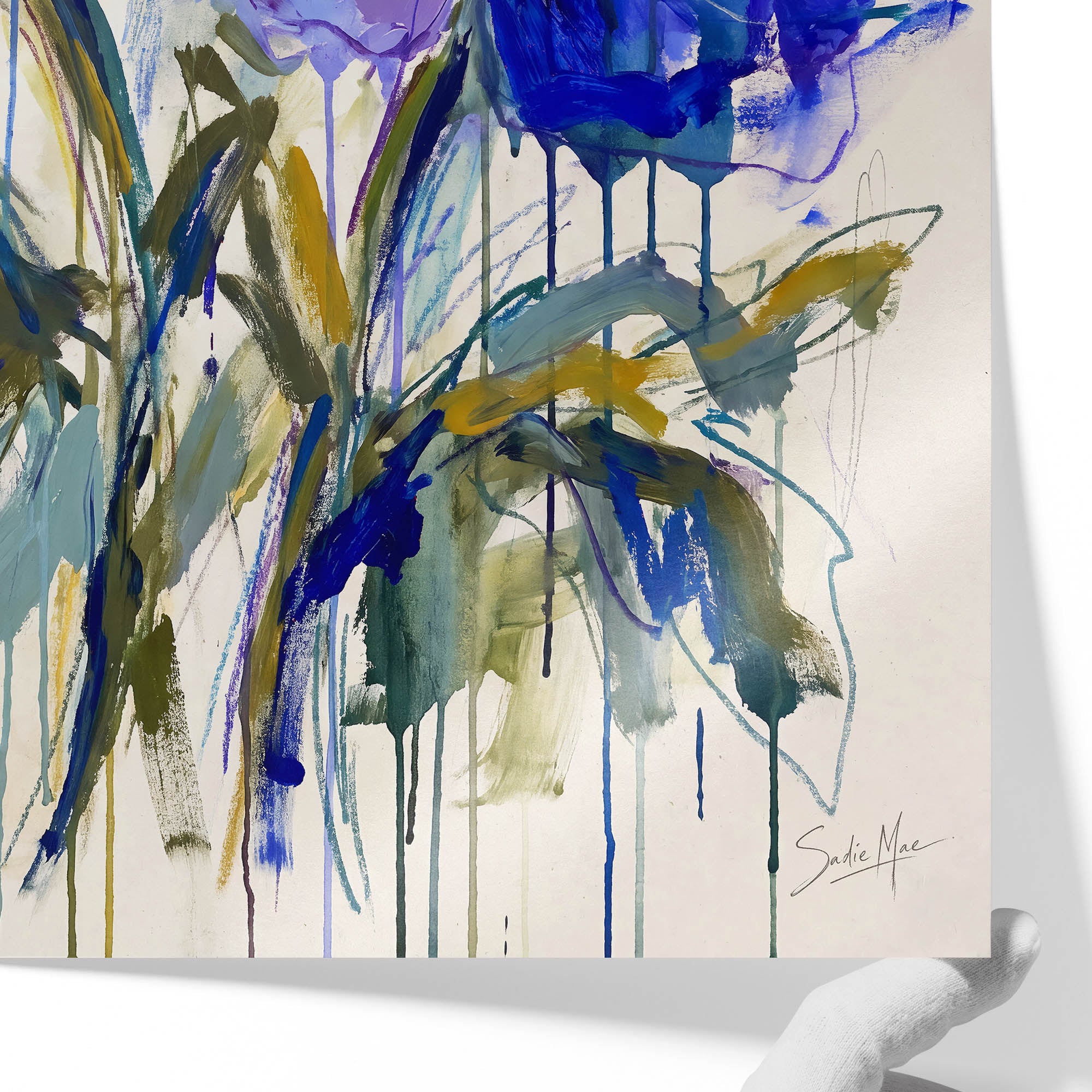 Indigo Anemones