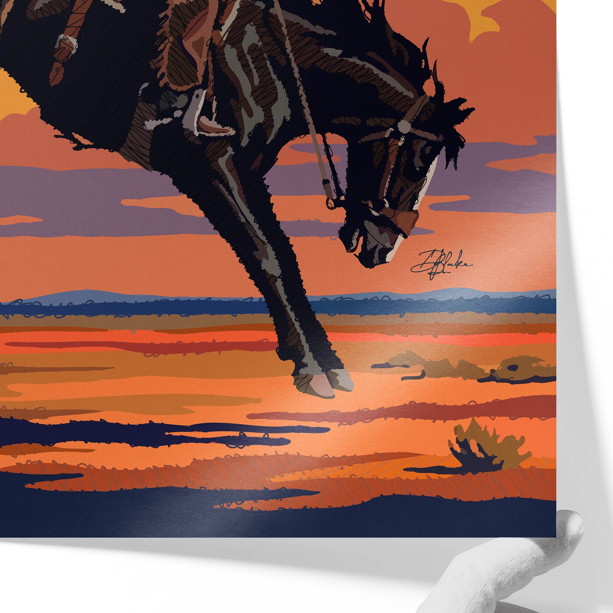 Sunset Bronco