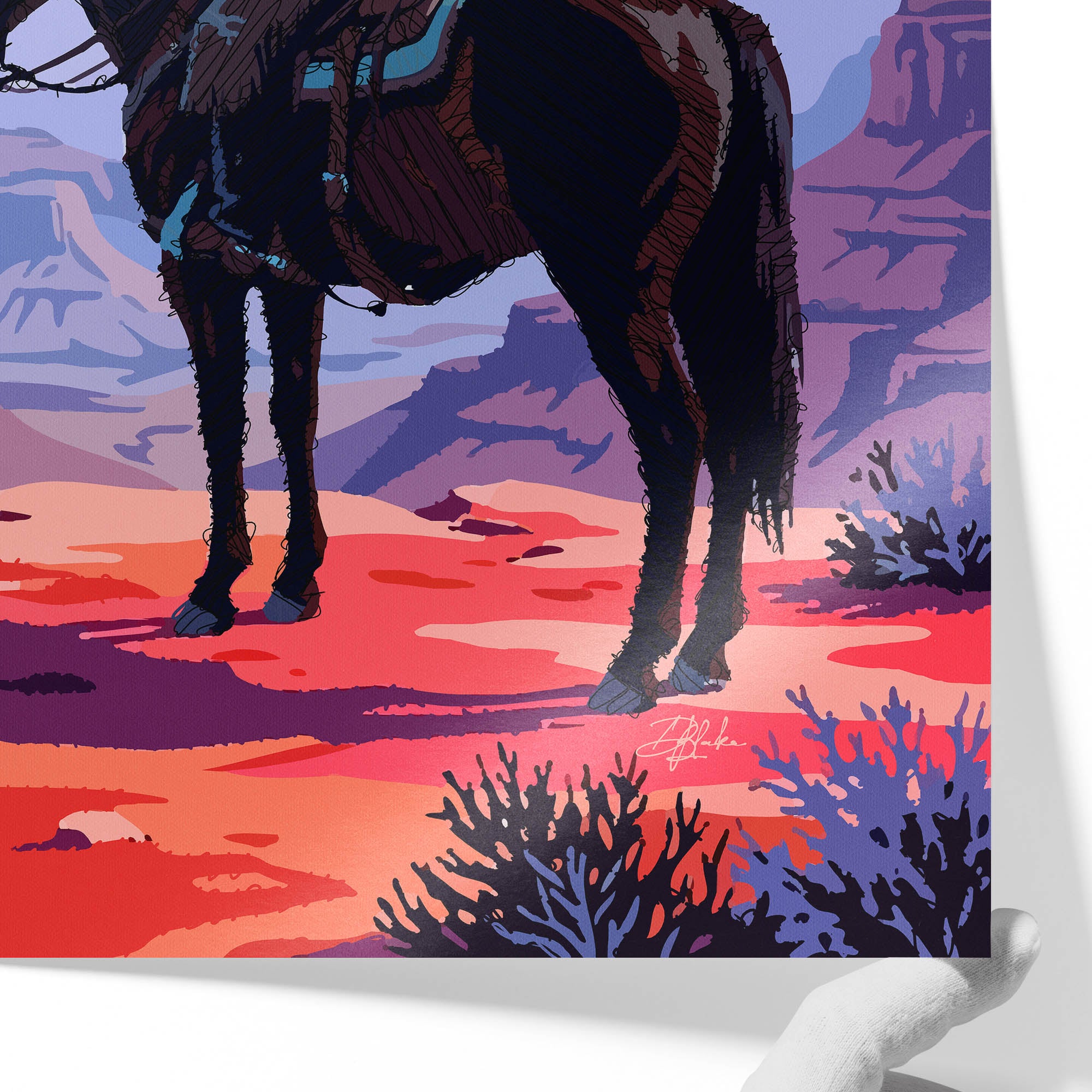 Canyon Watch
