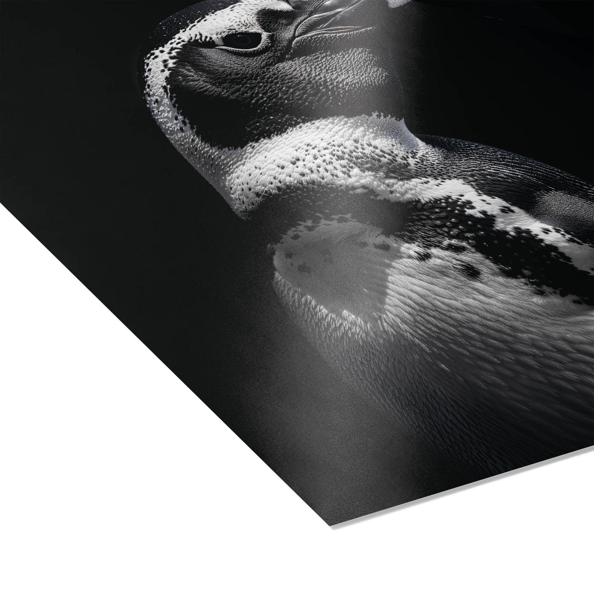Tux