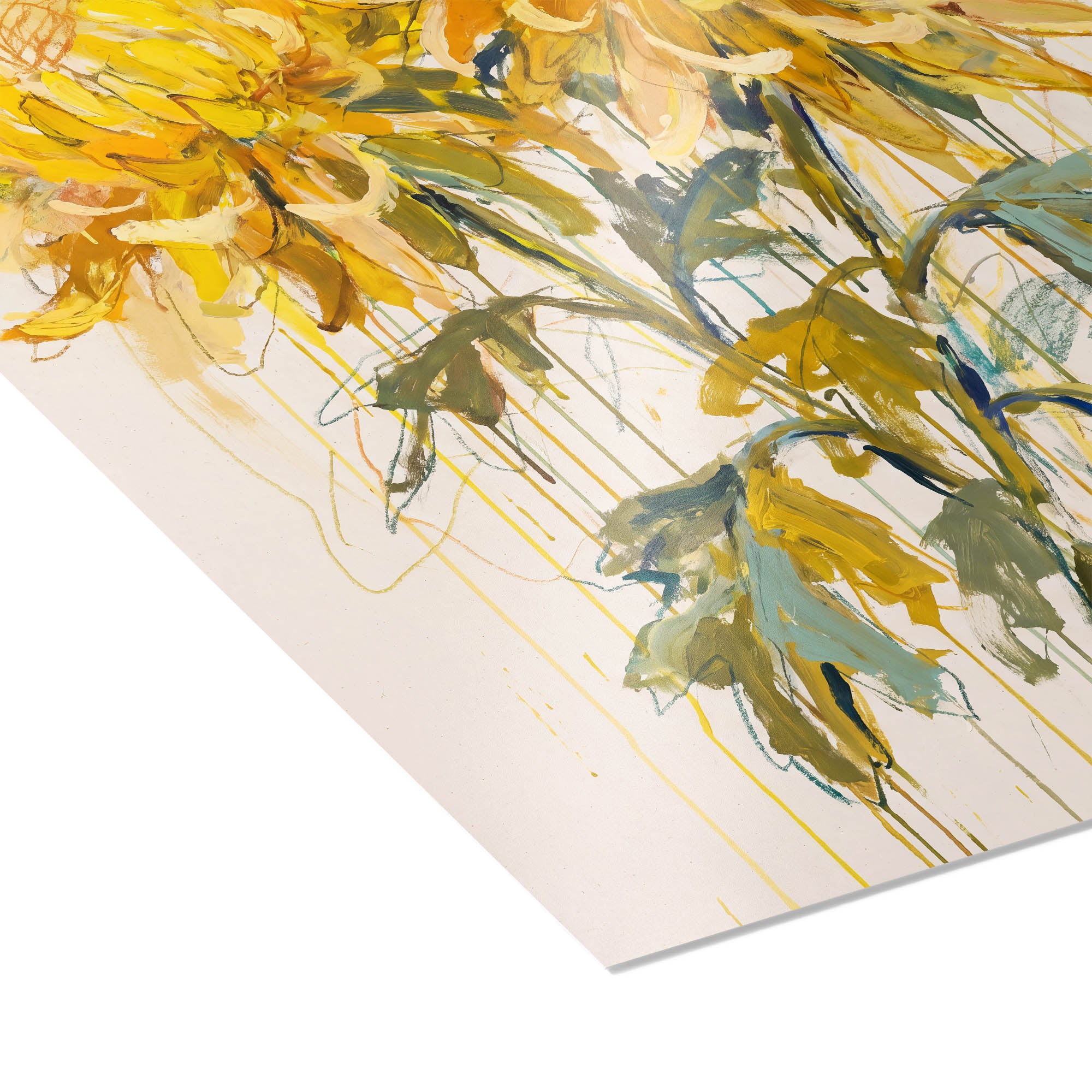 Sunlit Chrysanthemums