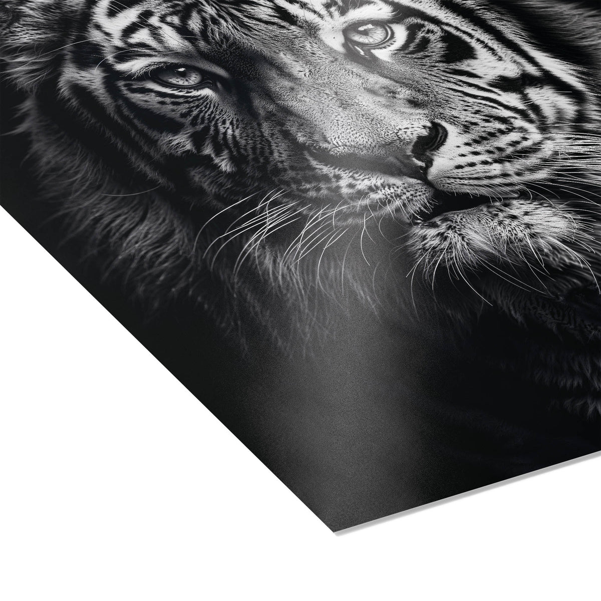 Rajah