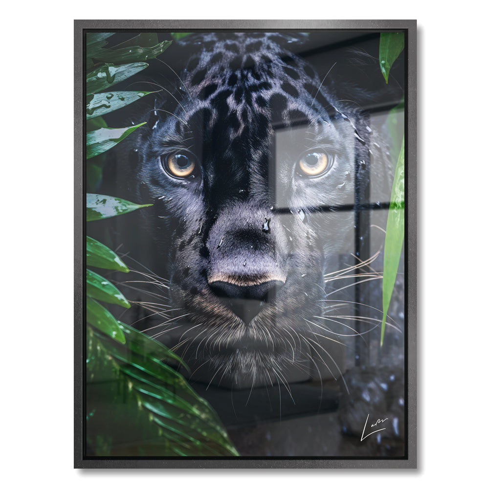 Peeping Panther