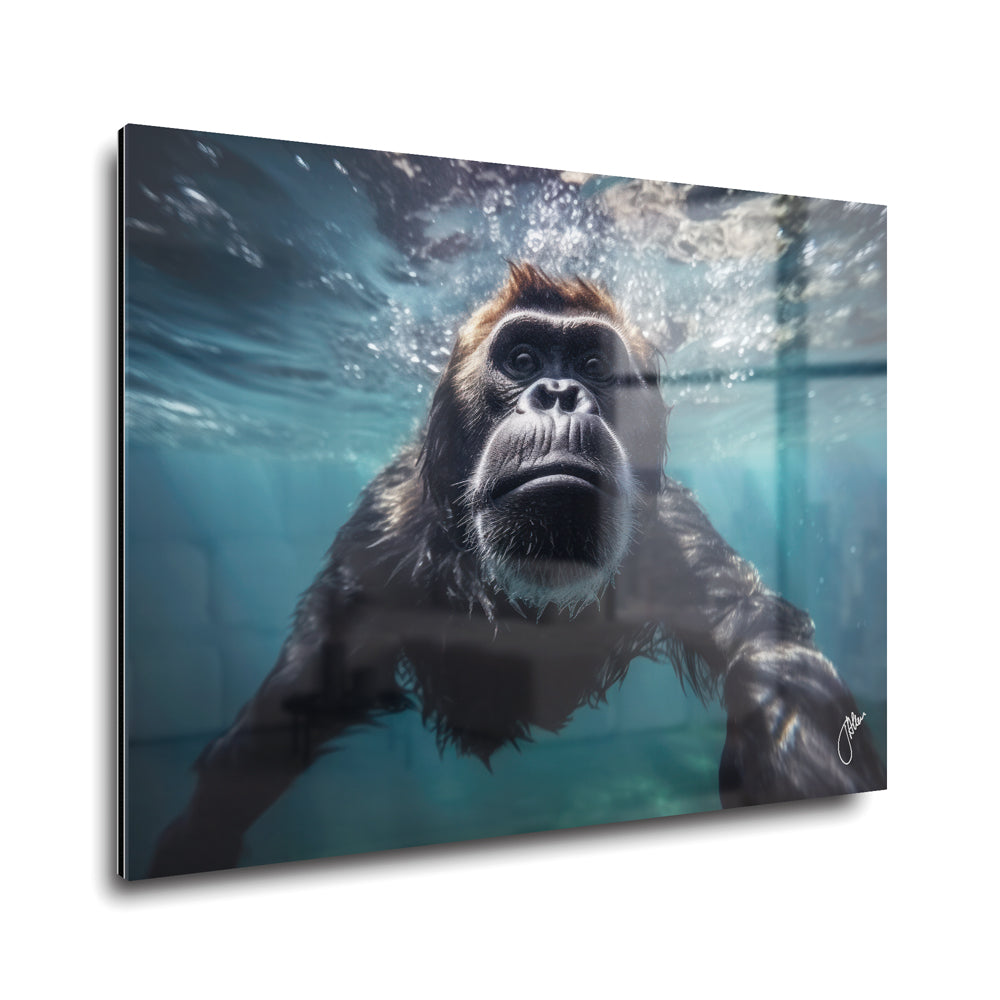 Underwater Monkey