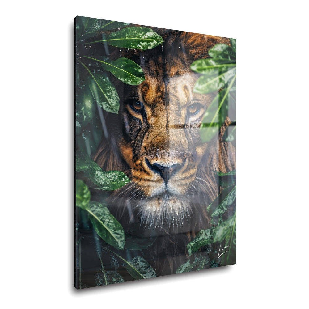 Peeping Lion