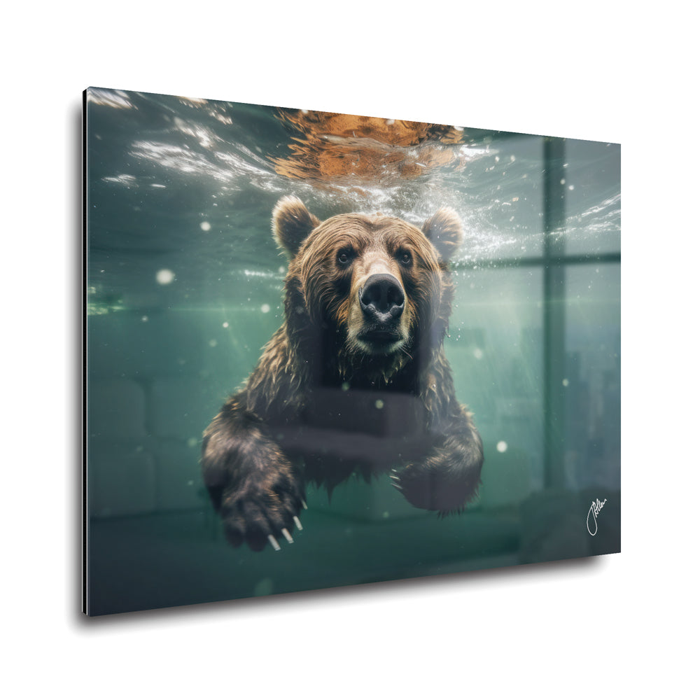 Underwater Bear