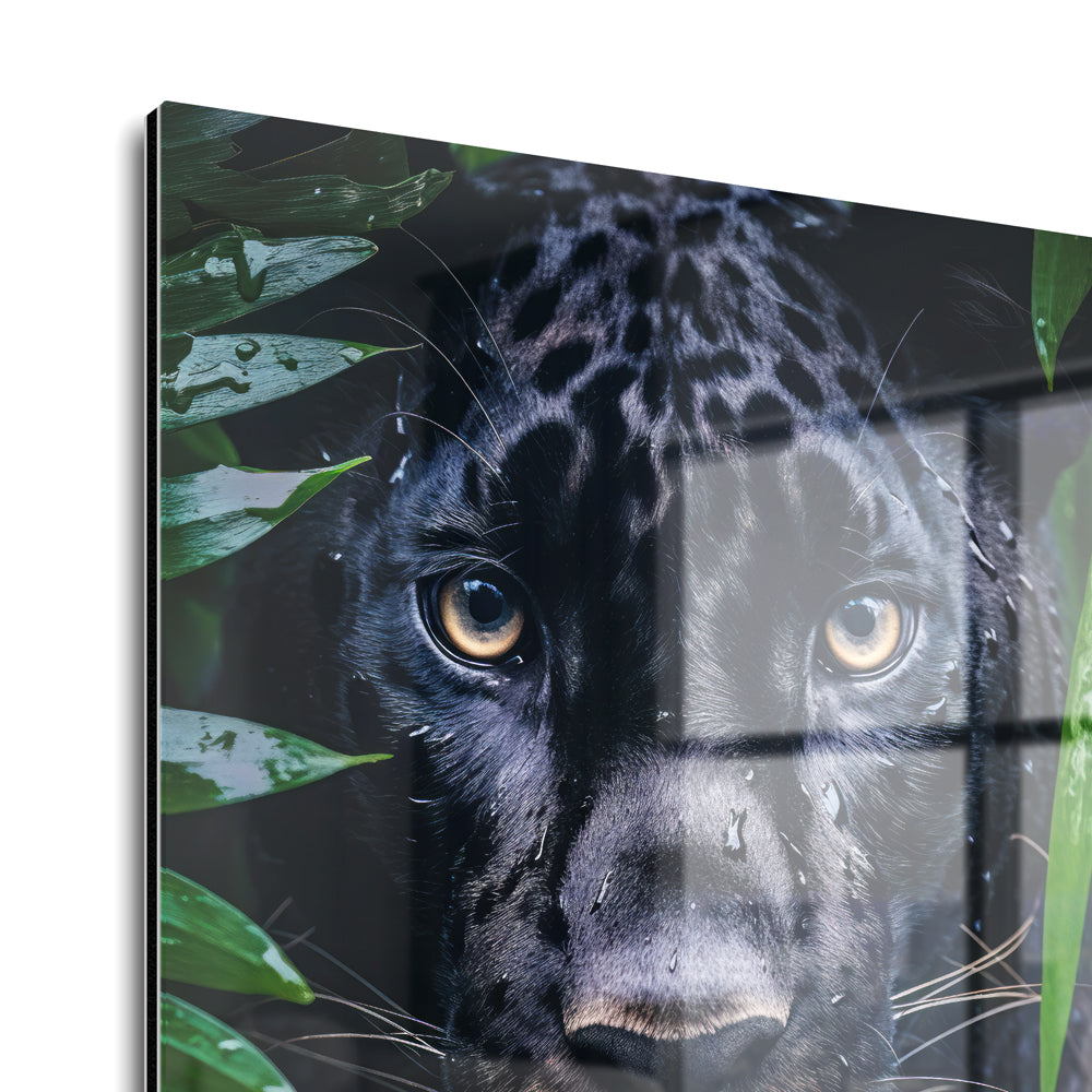 Peeping Panther