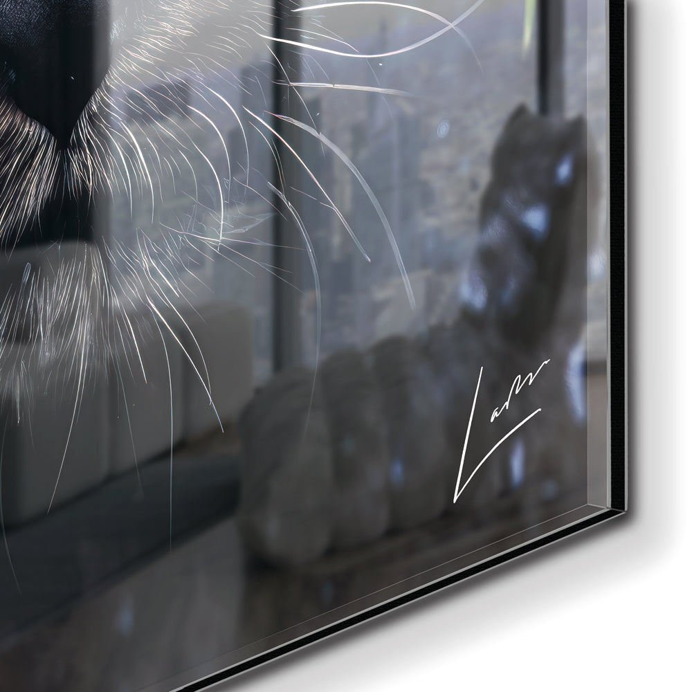 Peeping Panther