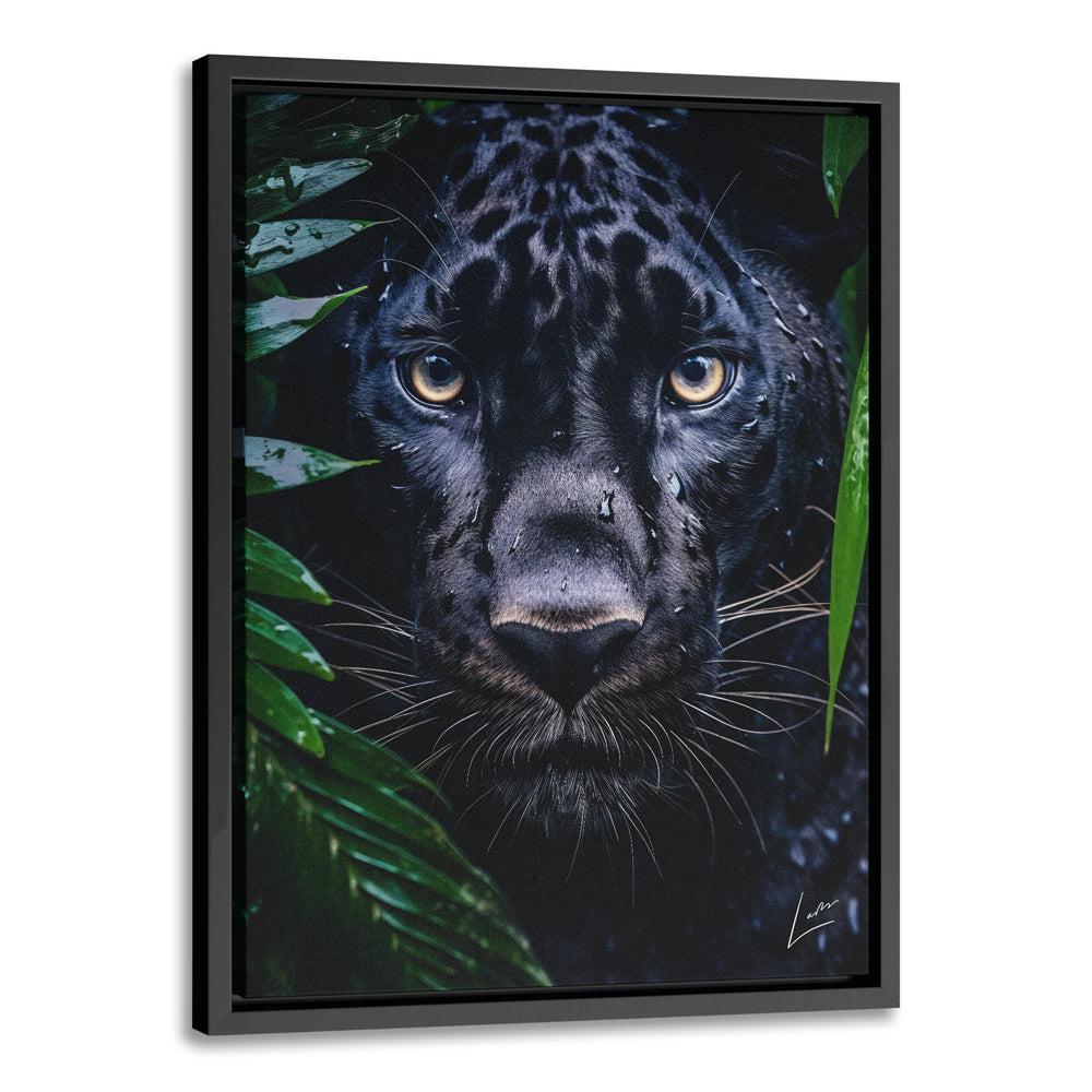 Peeping Panther