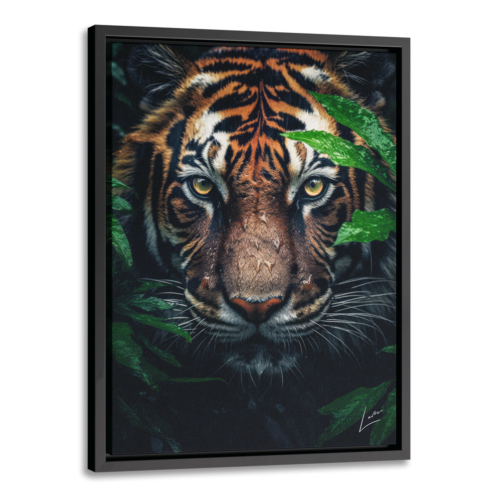 Peeping Tiger