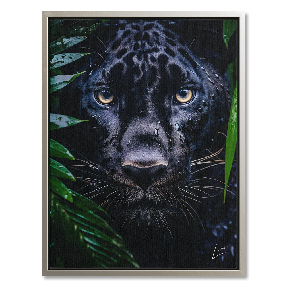 Peeping Panther