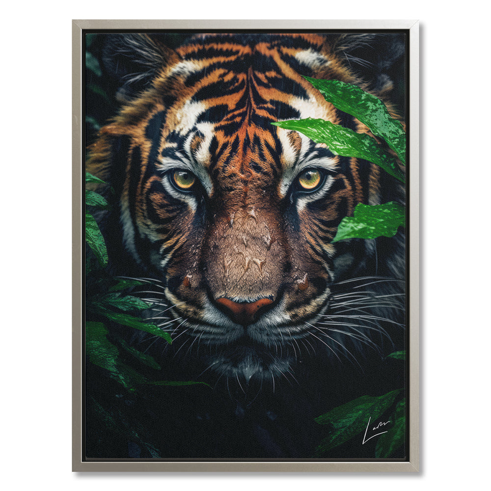 Peeping Tiger