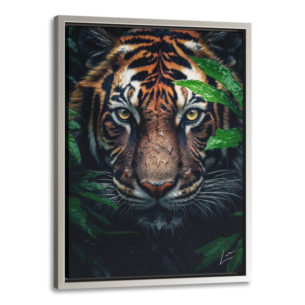 Peeping Tiger