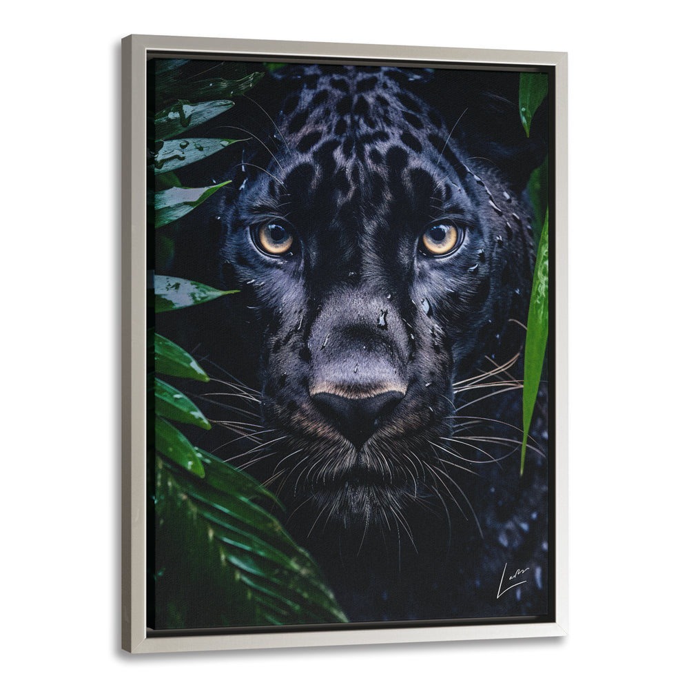 Peeping Panther