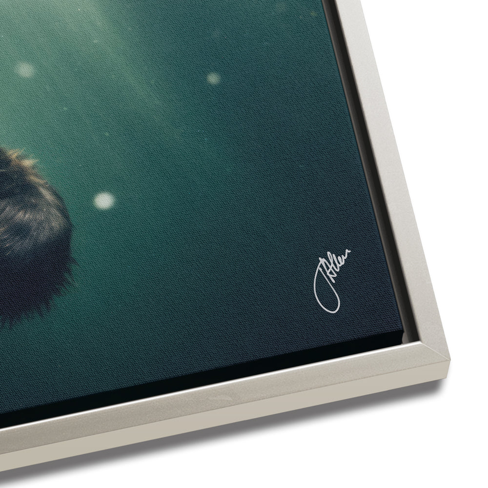 Underwater Bear