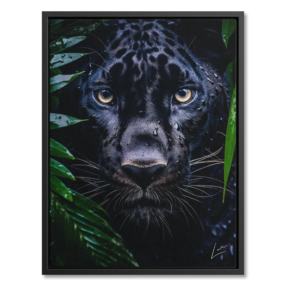 Peeping Panther