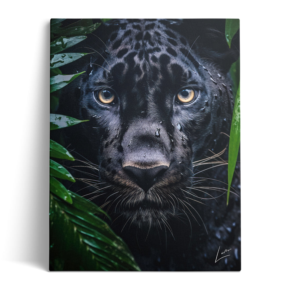 Peeping Panther